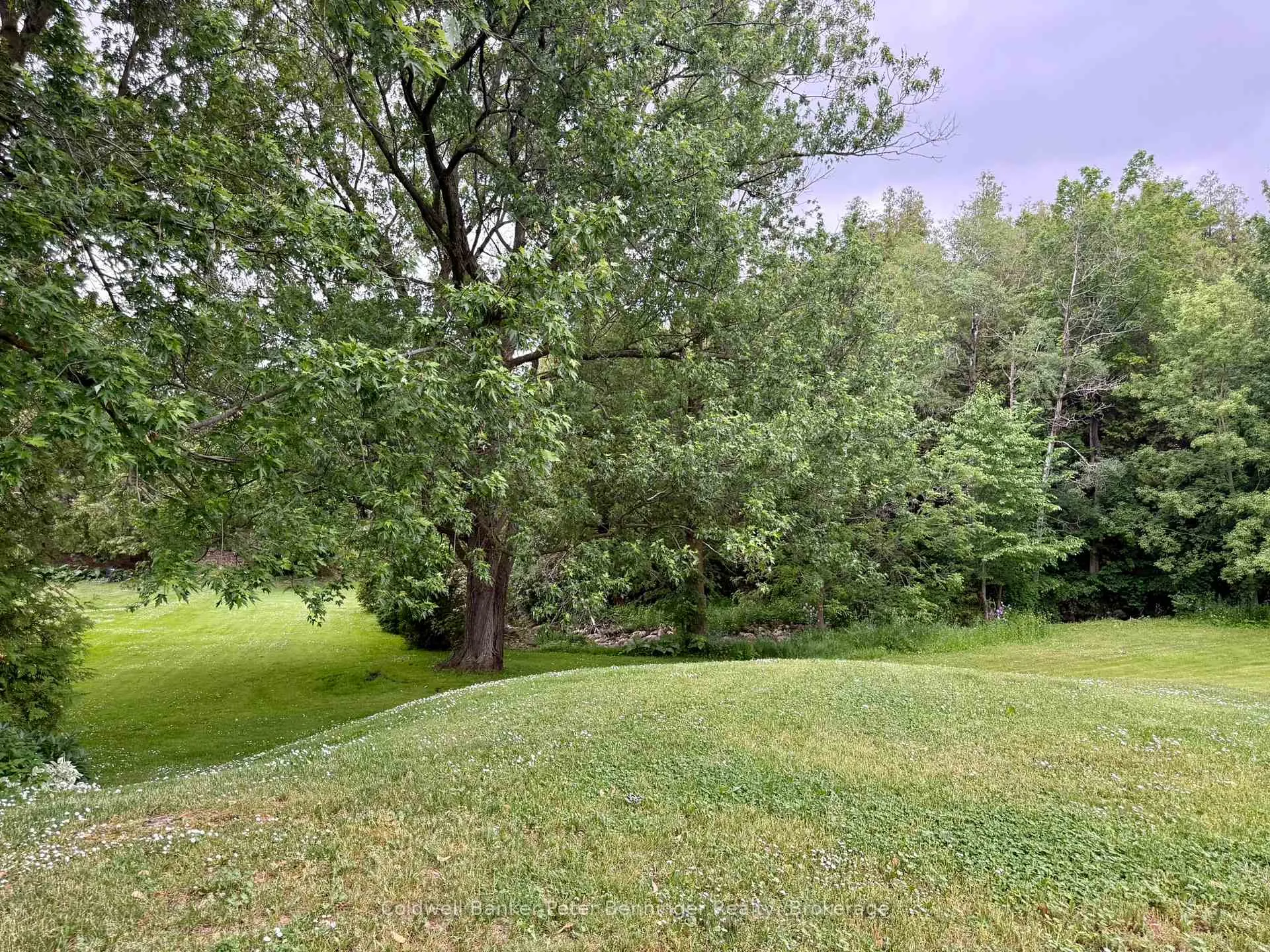 Photo 59 of 208 Council Road, South Bruce — HOMEH