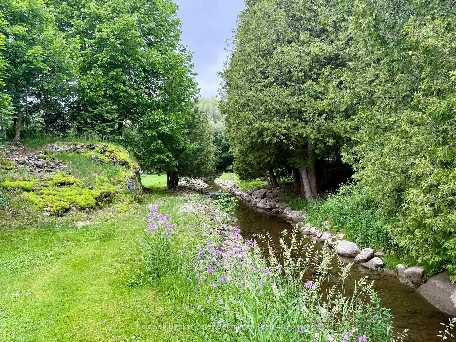 Photo 62 of 208 Council Road, South Bruce — HOMEH