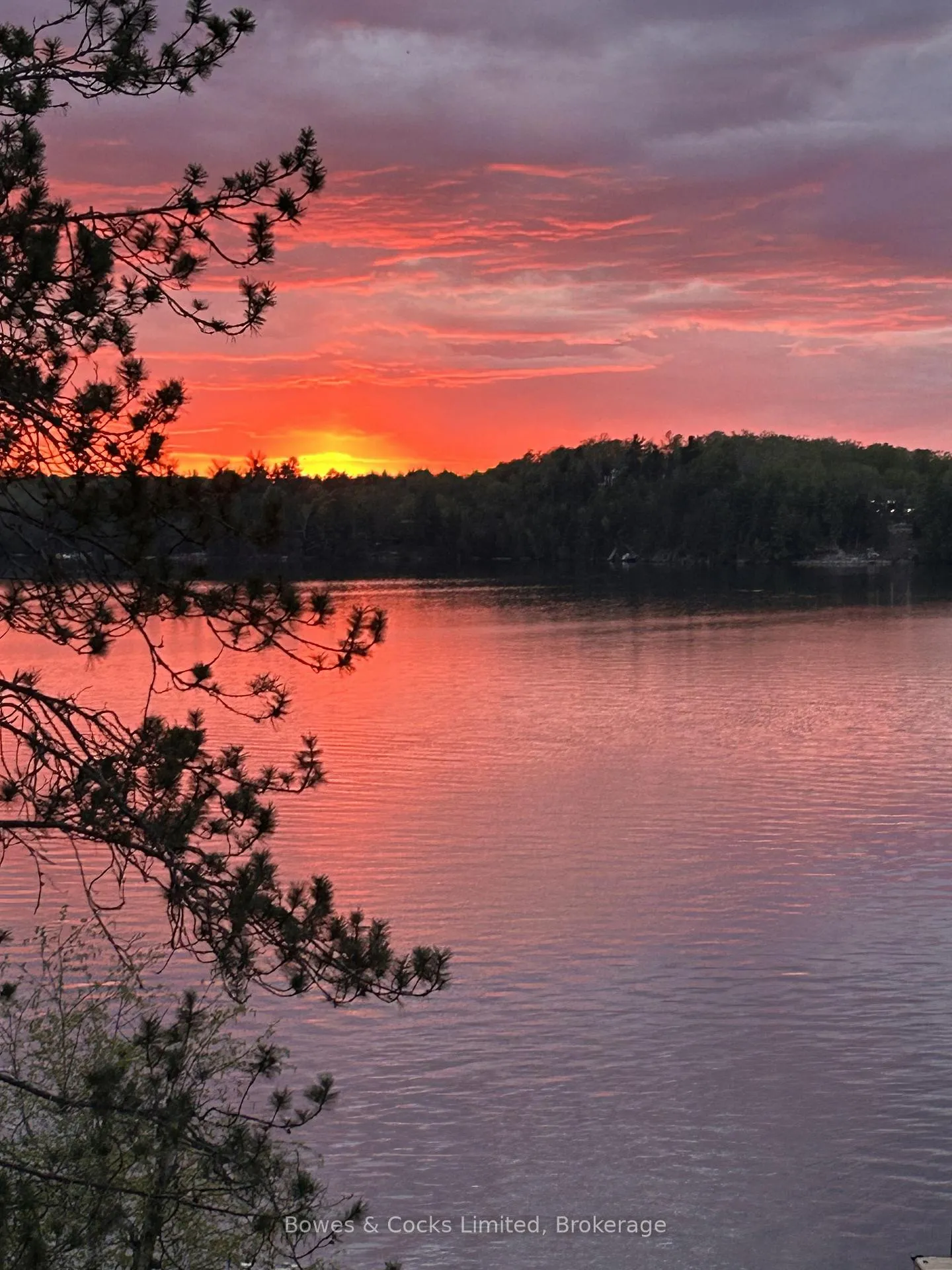 Photo 39 of 92 Brock Road, North Kawartha — HOMEH