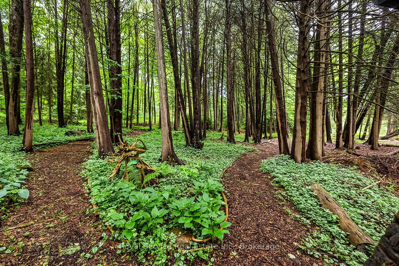 Photo 43 of 5147 Patterson Road, Clarington, Rural Clarington — HOMEH