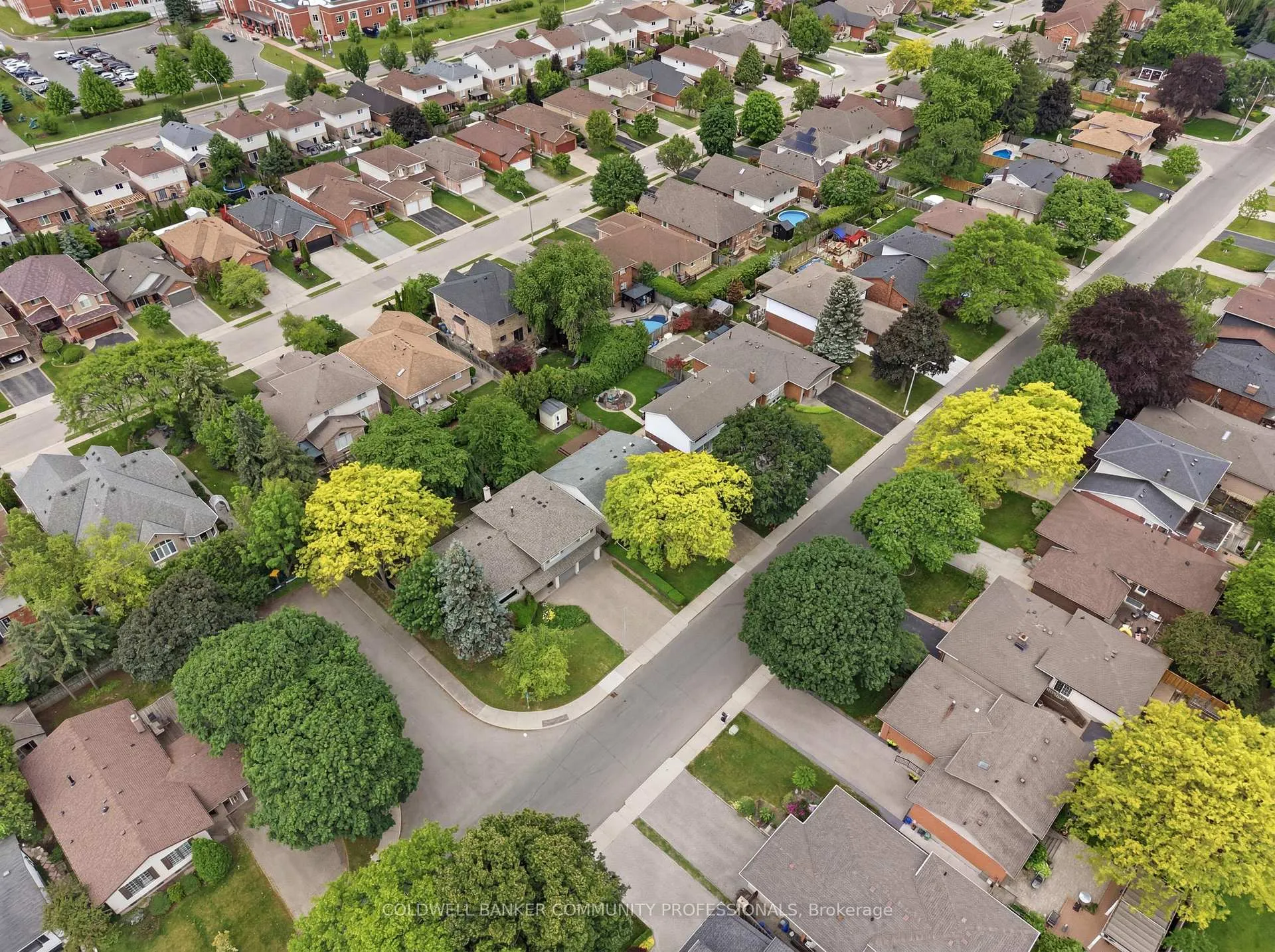 Photo 3 of 61 San Pedro Drive, Hamilton, Mountview — HOMEH