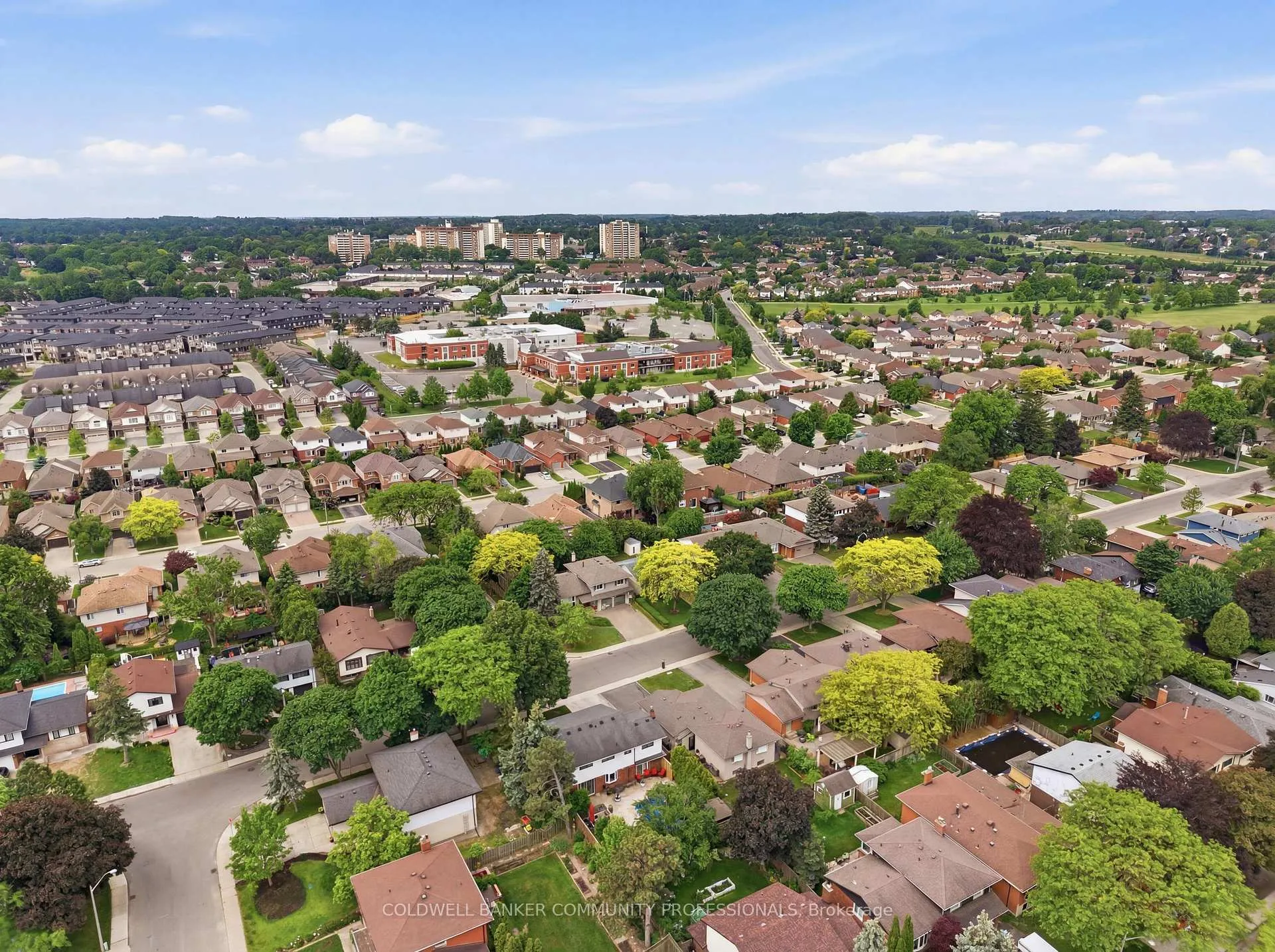 Photo 4 of 61 San Pedro Drive, Hamilton, Mountview — HOMEH