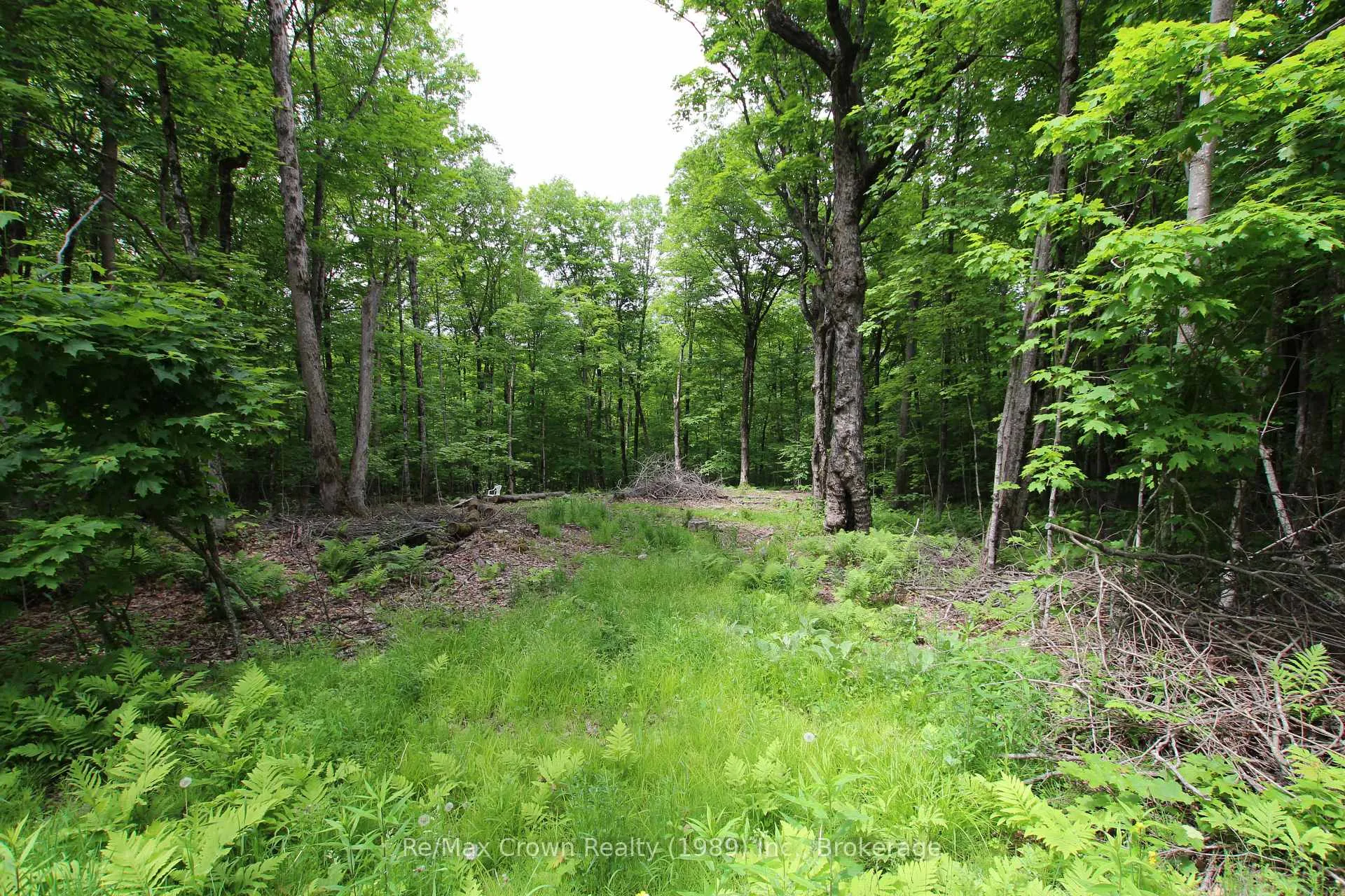 Photo 6 of Limberlost Point Road, Parry Sound Remote Area, Restoule — HOMEH