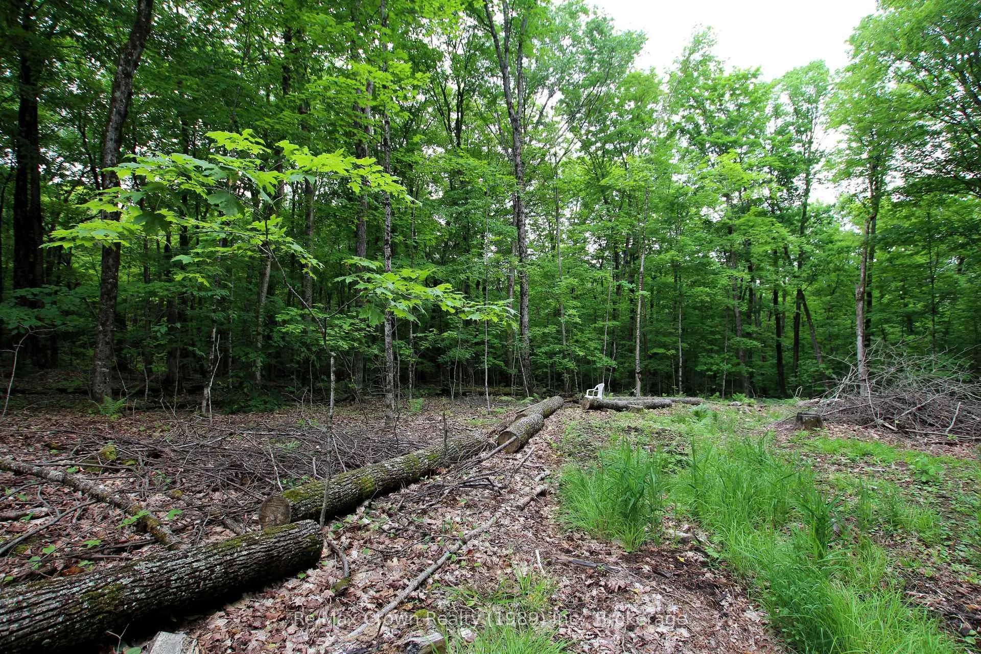 Photo 7 of Limberlost Point Road, Parry Sound Remote Area, Restoule — HOMEH