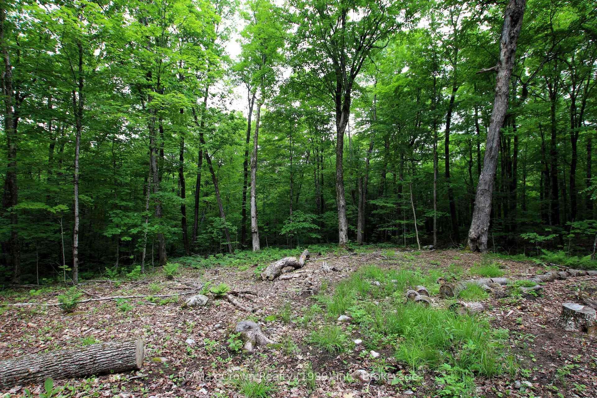 Photo 8 of Limberlost Point Road, Parry Sound Remote Area, Restoule — HOMEH