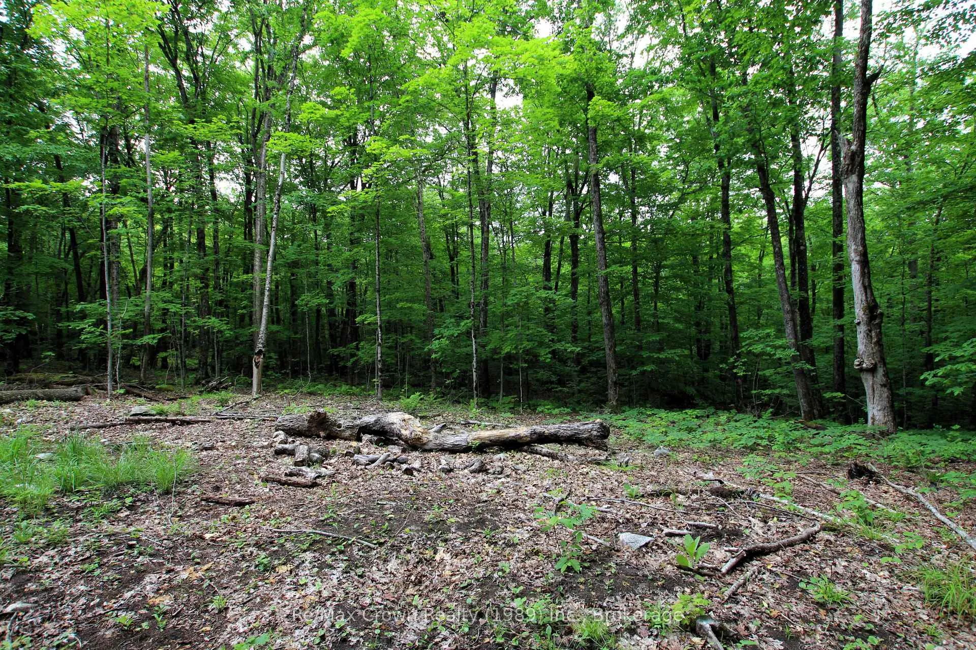 Photo 9 of Limberlost Point Road, Parry Sound Remote Area, Restoule — HOMEH