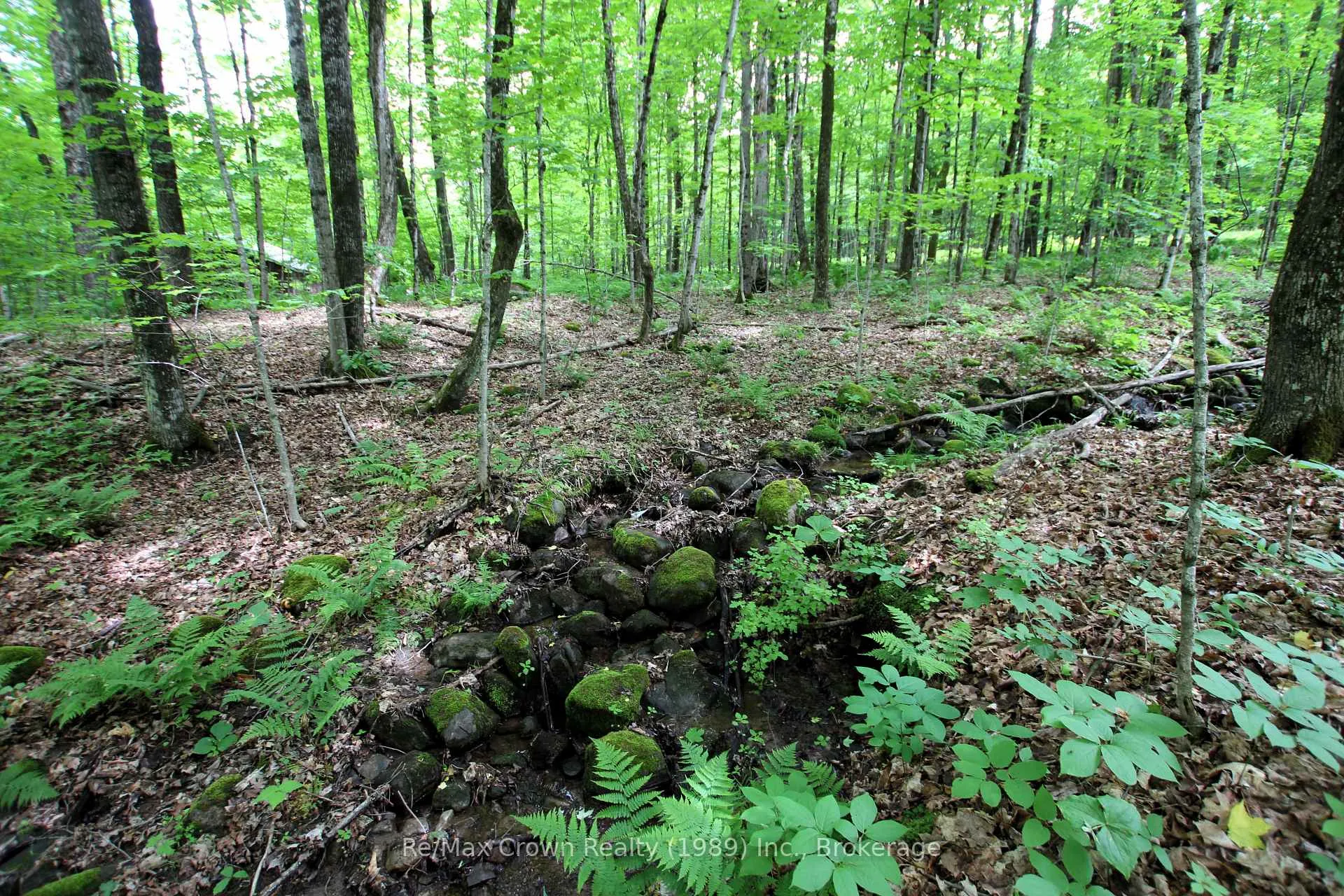Photo 10 of Limberlost Point Road, Parry Sound Remote Area, Restoule — HOMEH