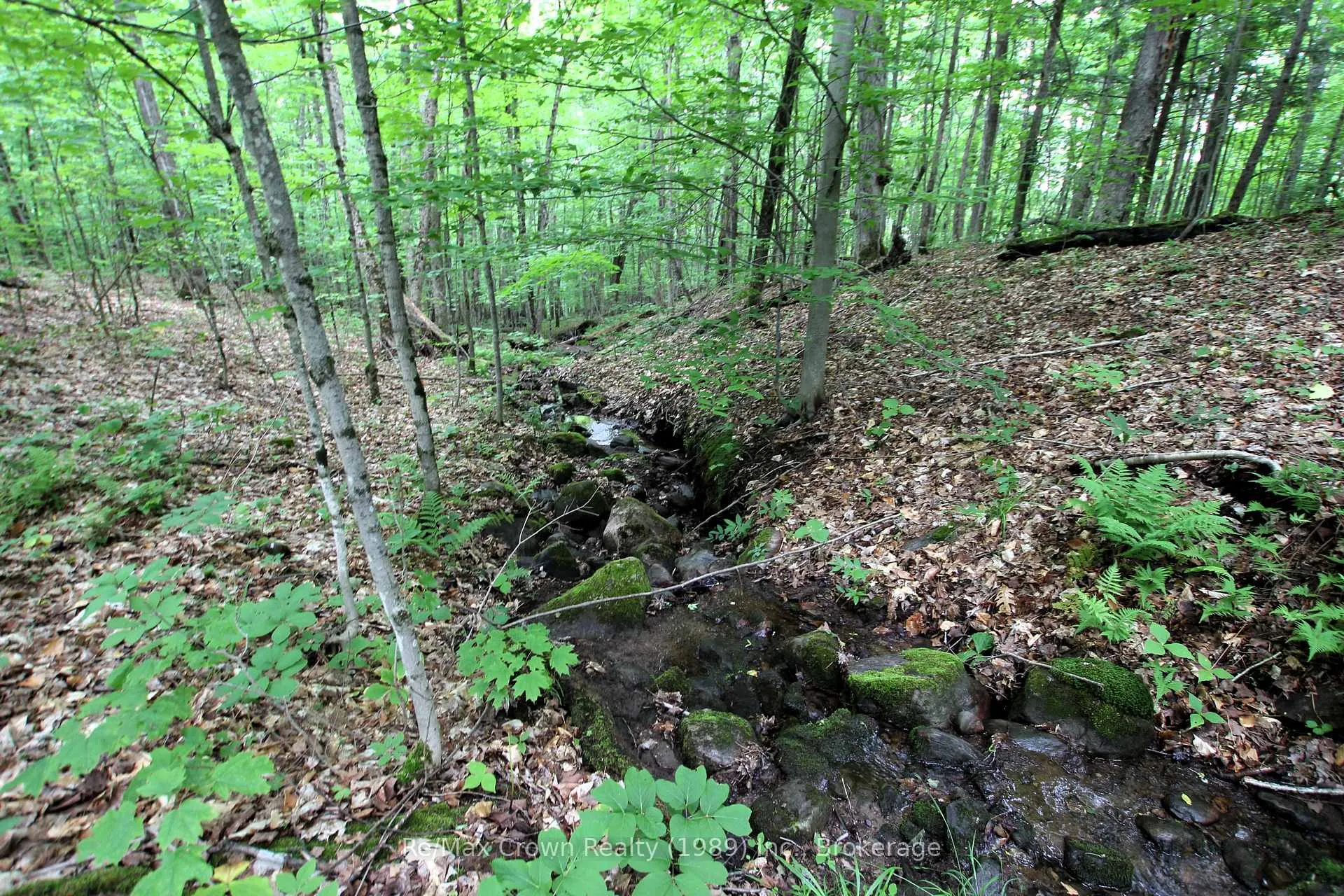 Photo 11 of Limberlost Point Road, Parry Sound Remote Area, Restoule — HOMEH
