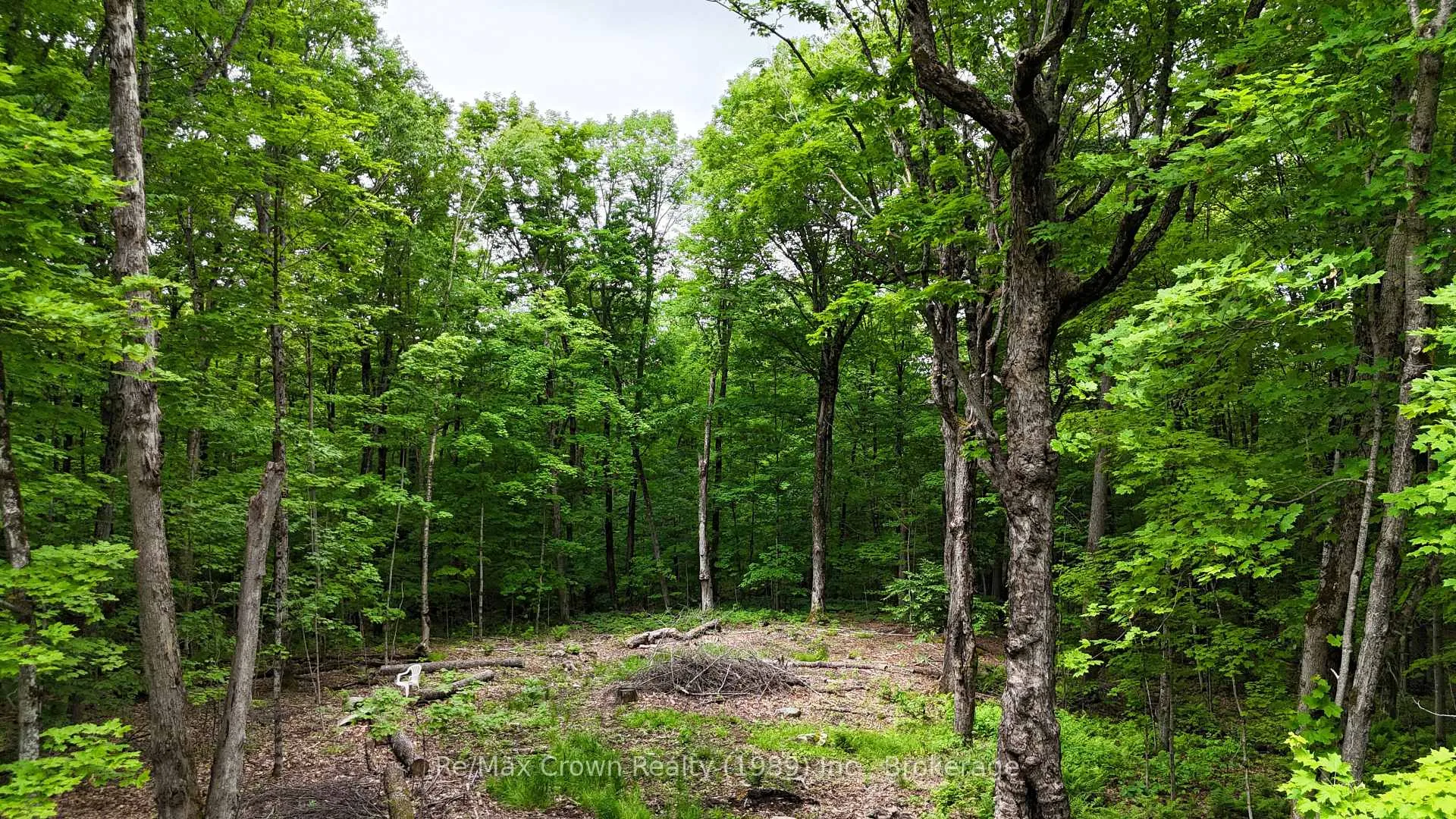 Photo 12 of Limberlost Point Road, Parry Sound Remote Area, Restoule — HOMEH