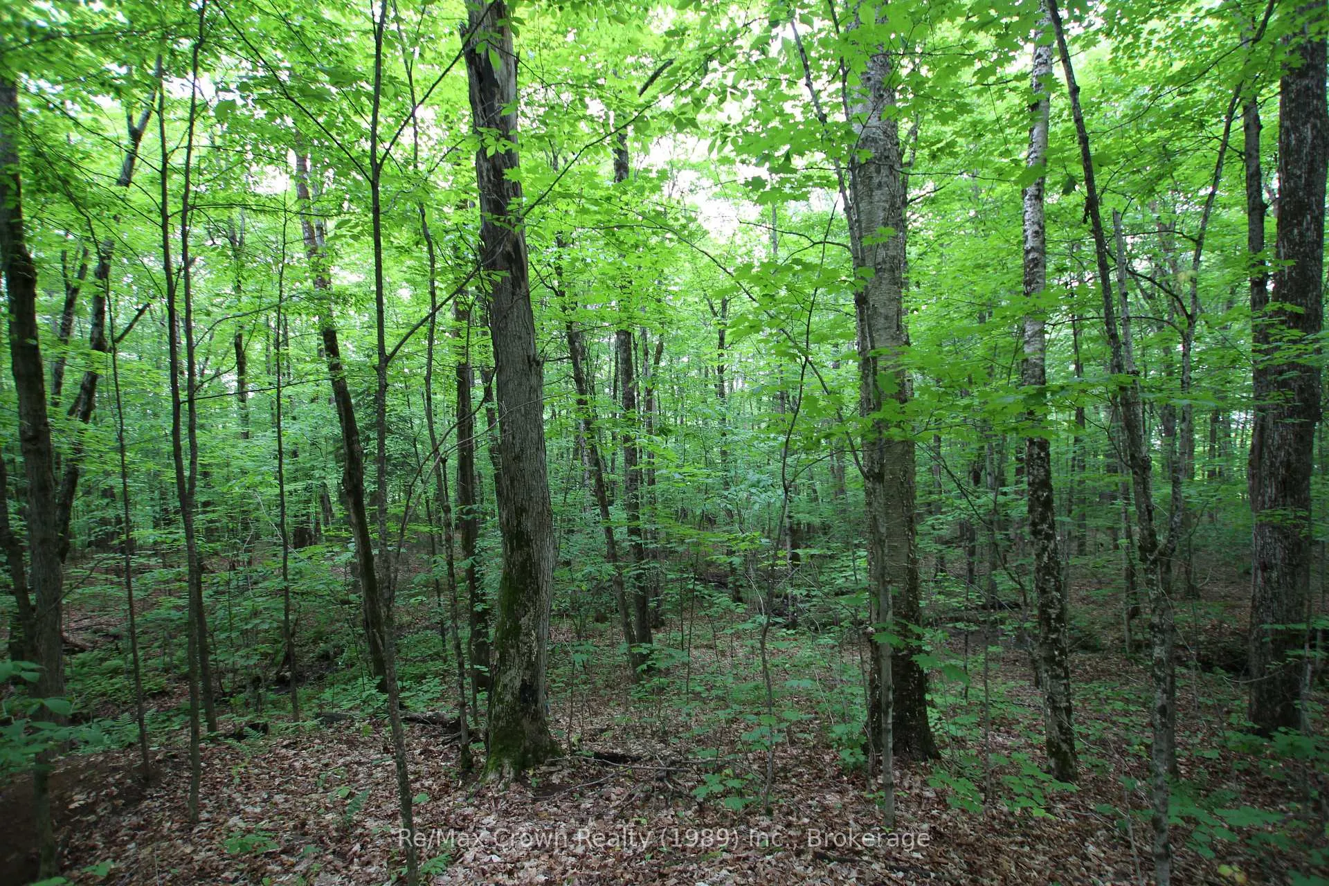 Photo 15 of Limberlost Point Road, Parry Sound Remote Area, Restoule — HOMEH