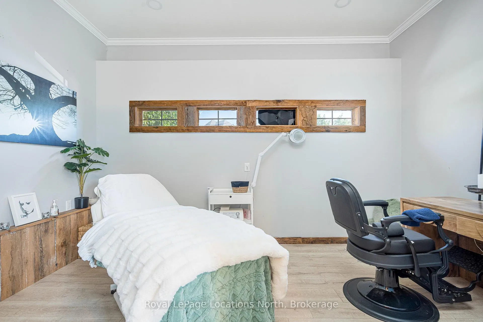 Photo 17 of 12 Patton Street, Collingwood — HOMEH