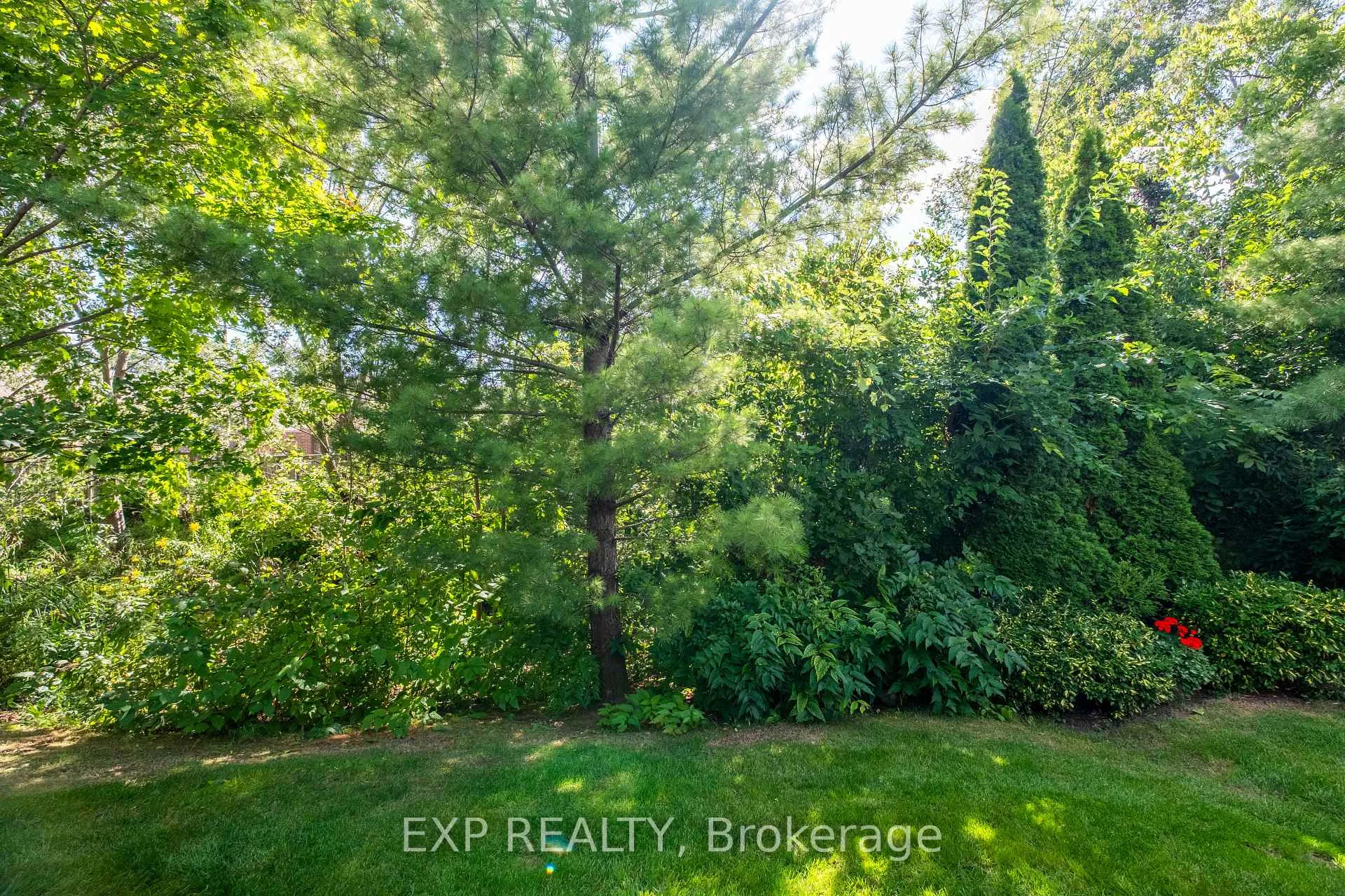 Photo 41 of Unit 22, 130 Robert Street, Milton, Old Milton — HOMEH