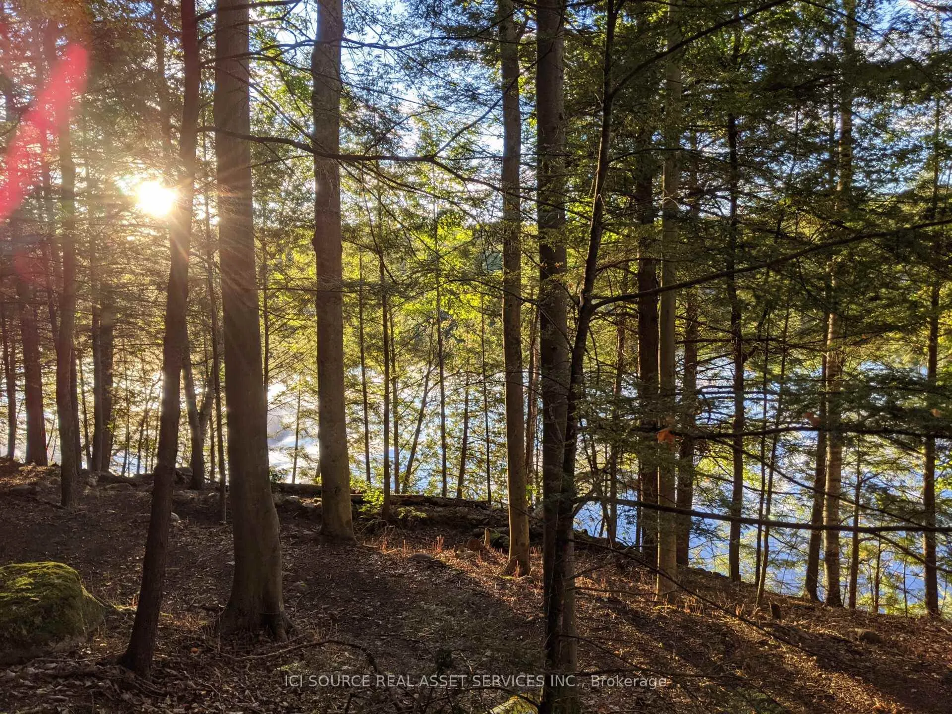 Photo 10 of 19 Shady Maple Road, McNab/Braeside, Mcnab/Braeside Twps — HOMEH