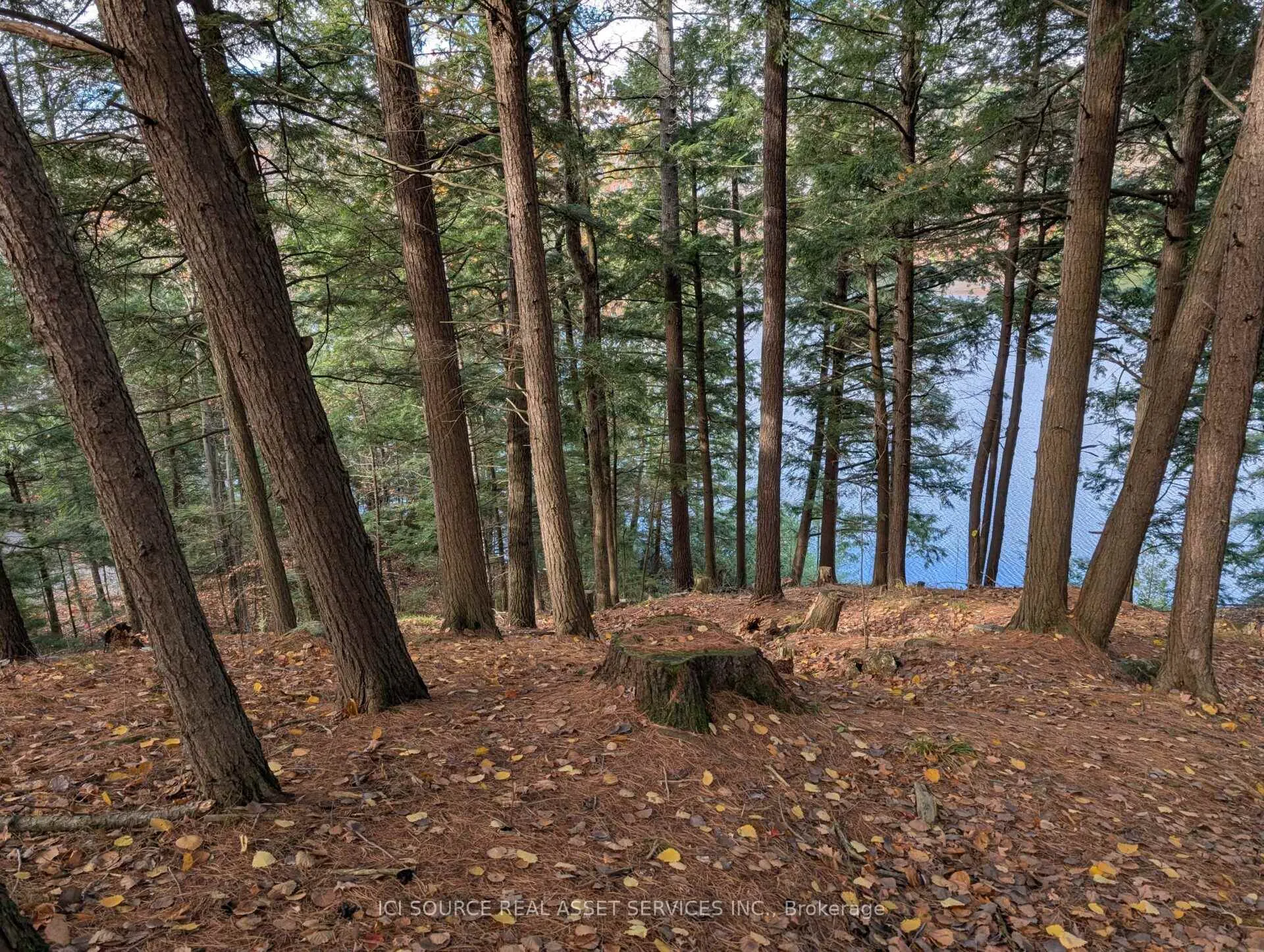 Photo 16 of 19 Shady Maple Road, McNab/Braeside, Mcnab/Braeside Twps — HOMEH