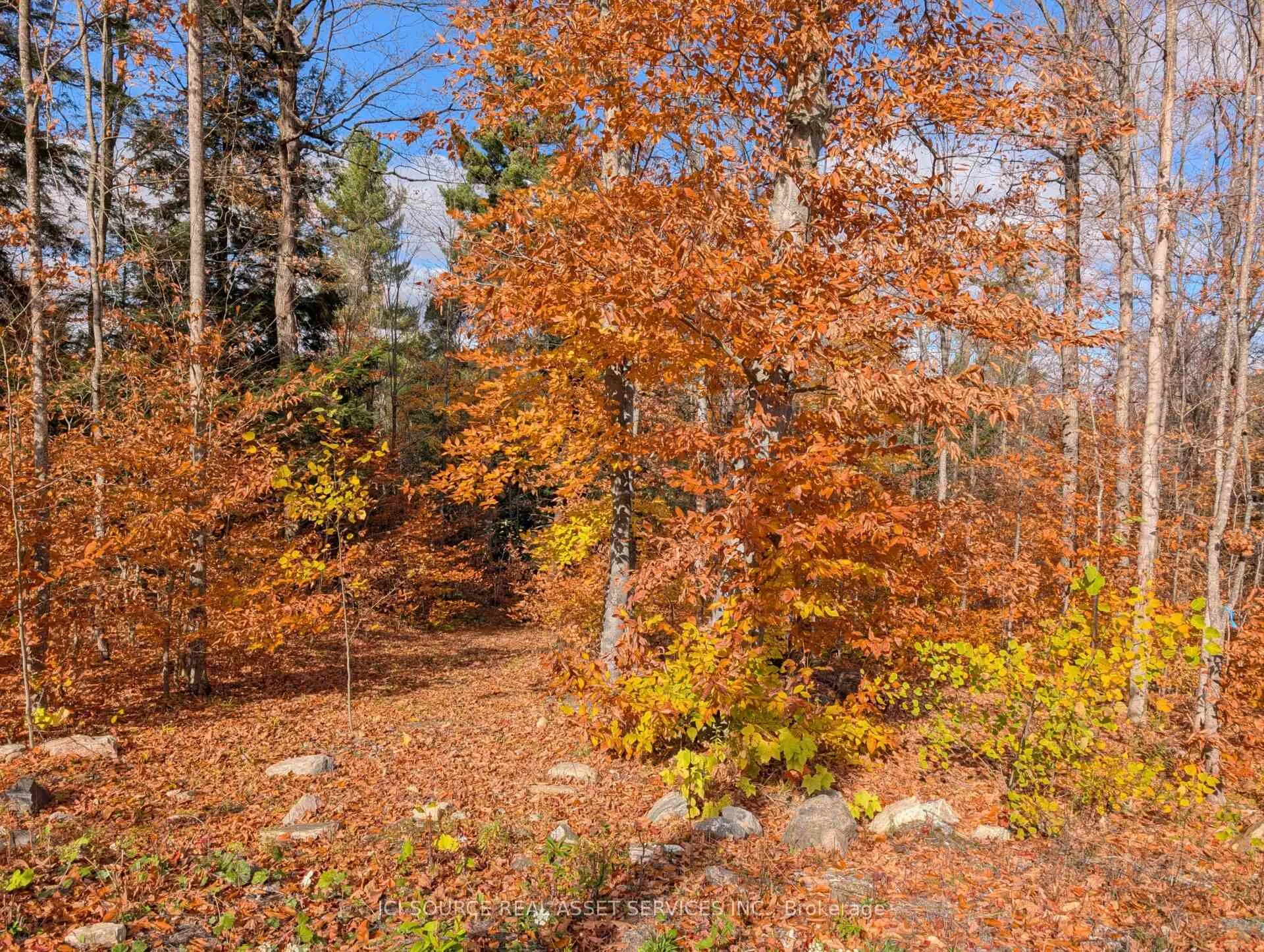 Photo 18 of 19 Shady Maple Road, McNab/Braeside, Mcnab/Braeside Twps — HOMEH