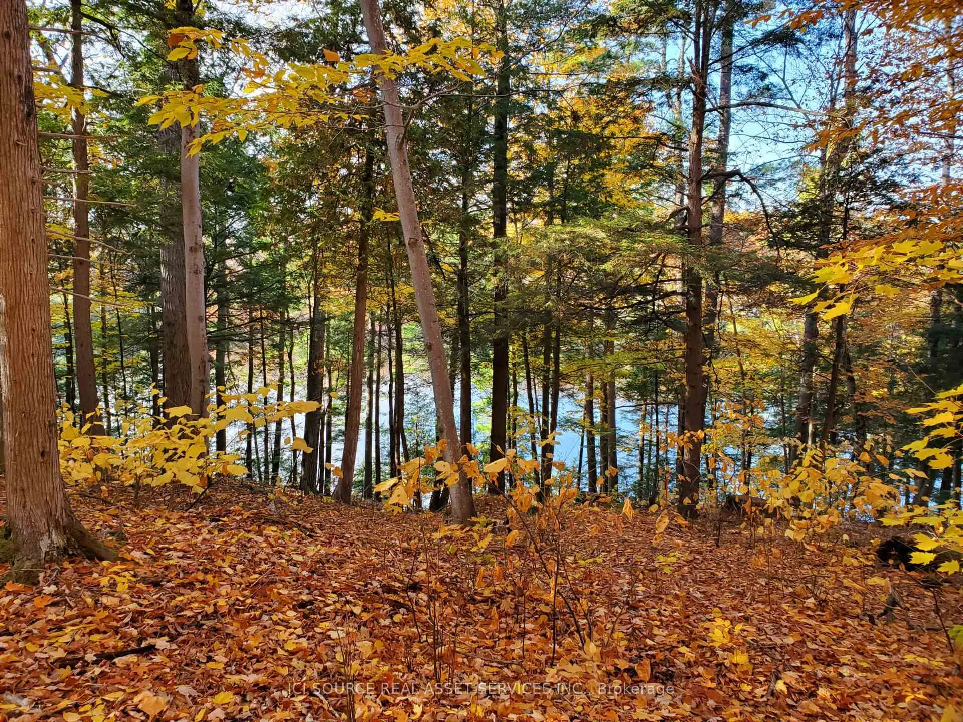 Photo 21 of 19 Shady Maple Road, McNab/Braeside, Mcnab/Braeside Twps — HOMEH