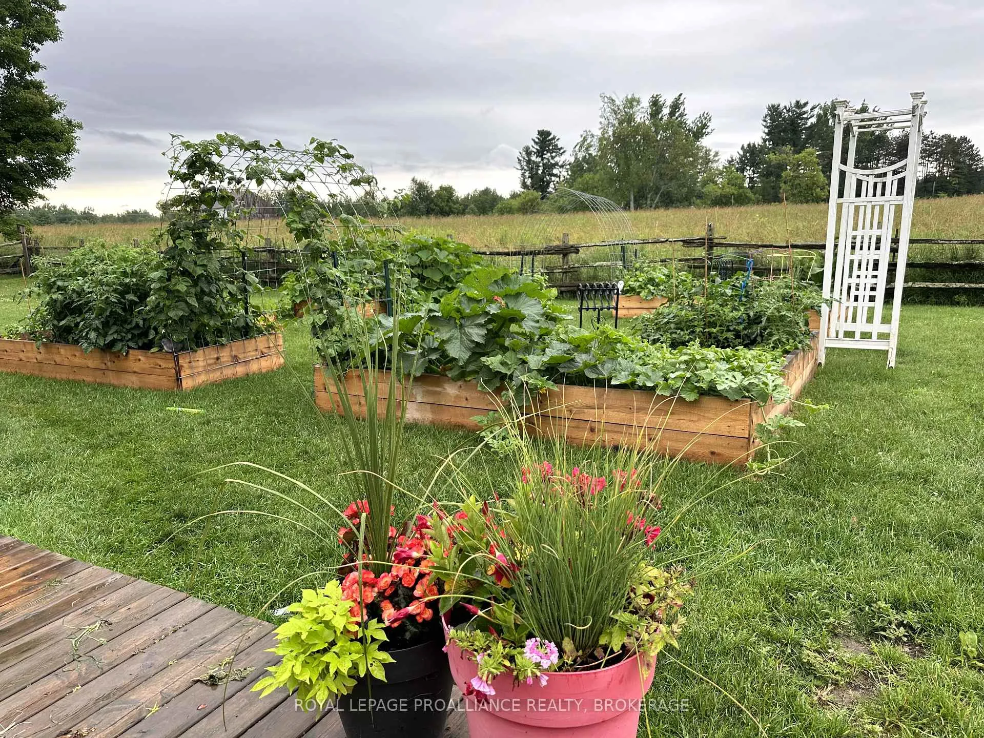Photo 34 of 4279 Arena Boundary Road, Frontenac, Frontenac South — HOMEH