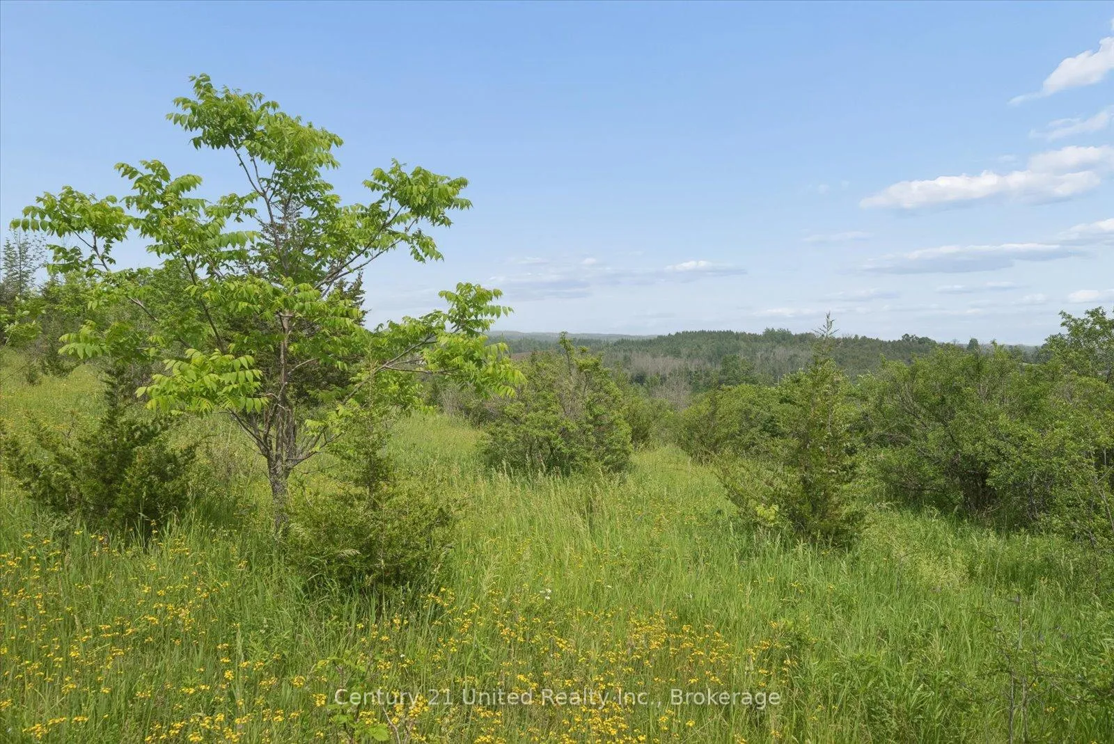 Photo 19 of 1825 McNamara Road, Peterborough, Ashburnham Ward 4 — HOMEH
