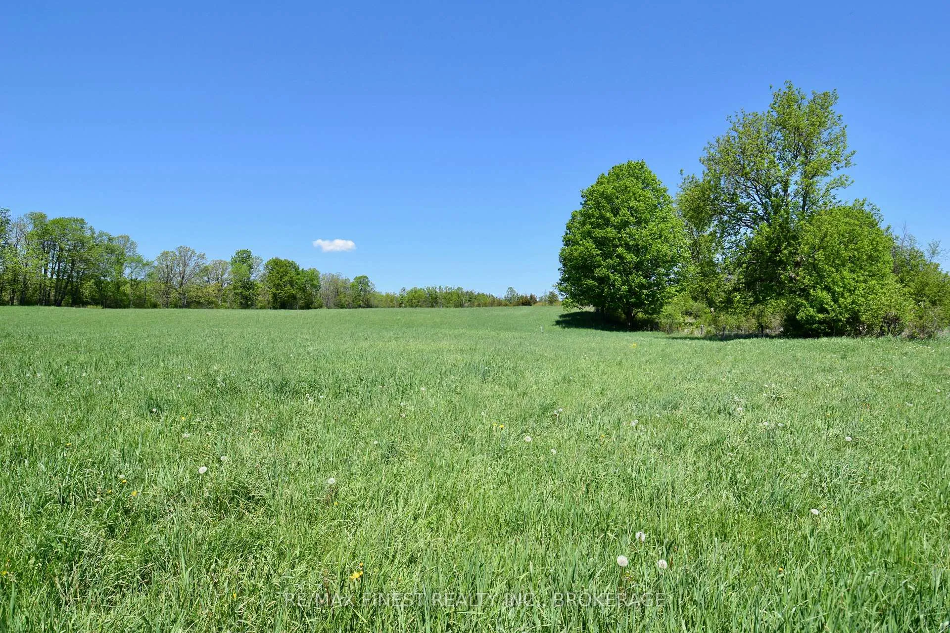 Photo 4 of 1005 County Road 14, Stone Mills — HOMEH