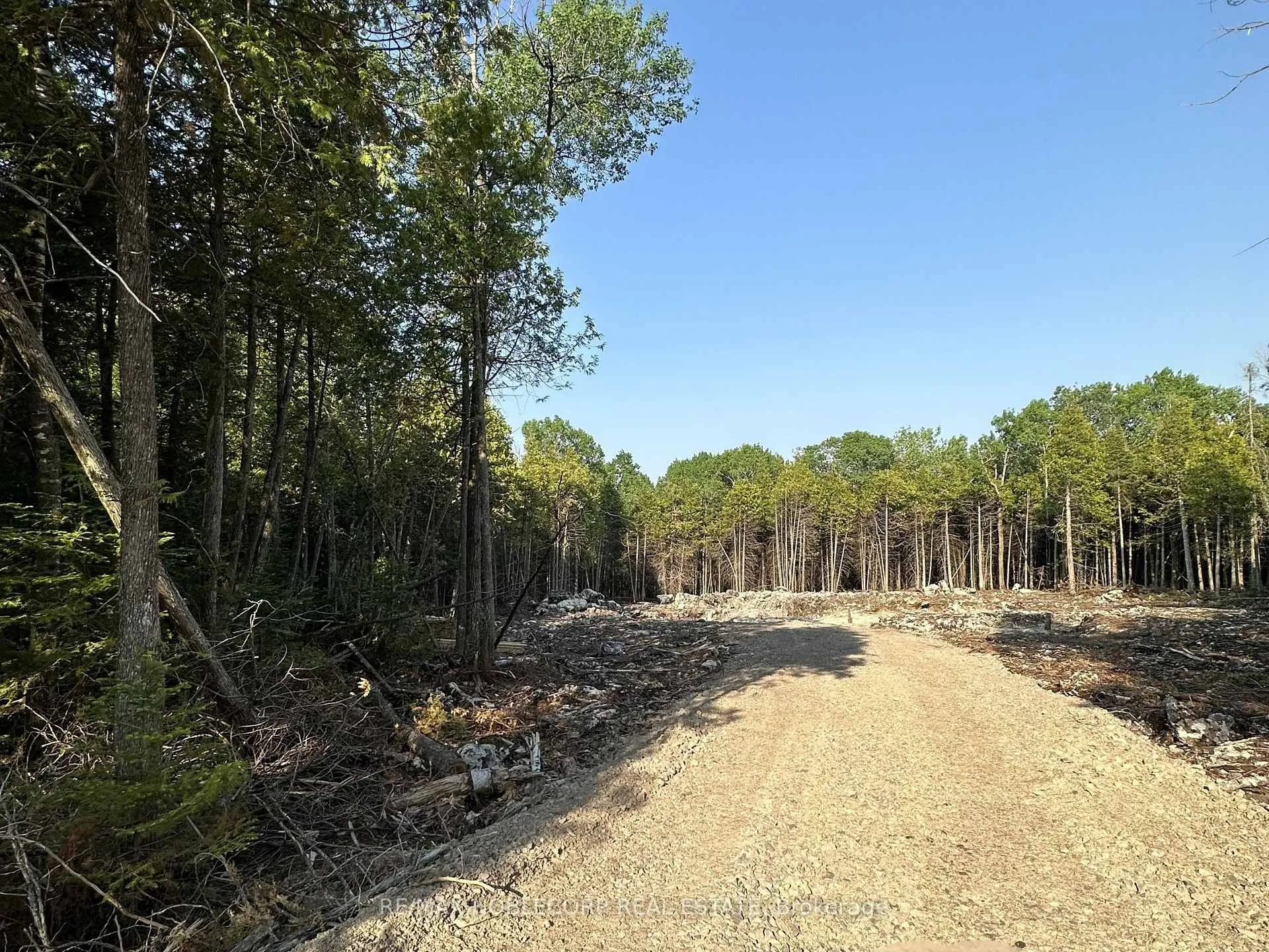 Photo of 42 Trillium Crossing