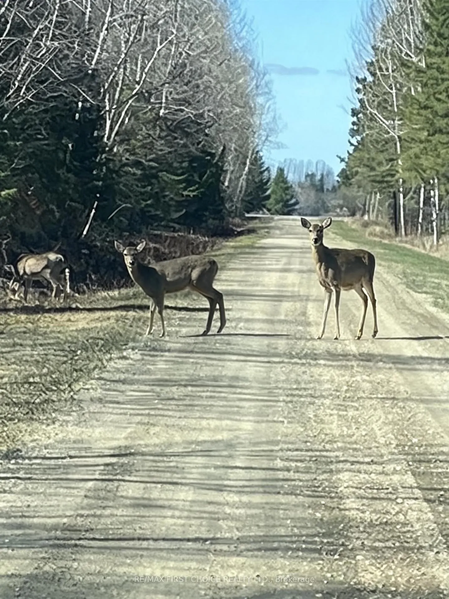 Photo 36 of 185 Byrnes Road, Dawson — HOMEH