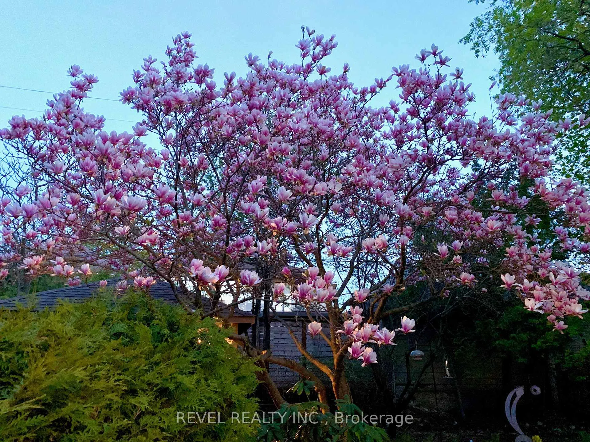 Photo 32 of 320 Clemow Avenue, Ottawa, Glebe — HOMEH