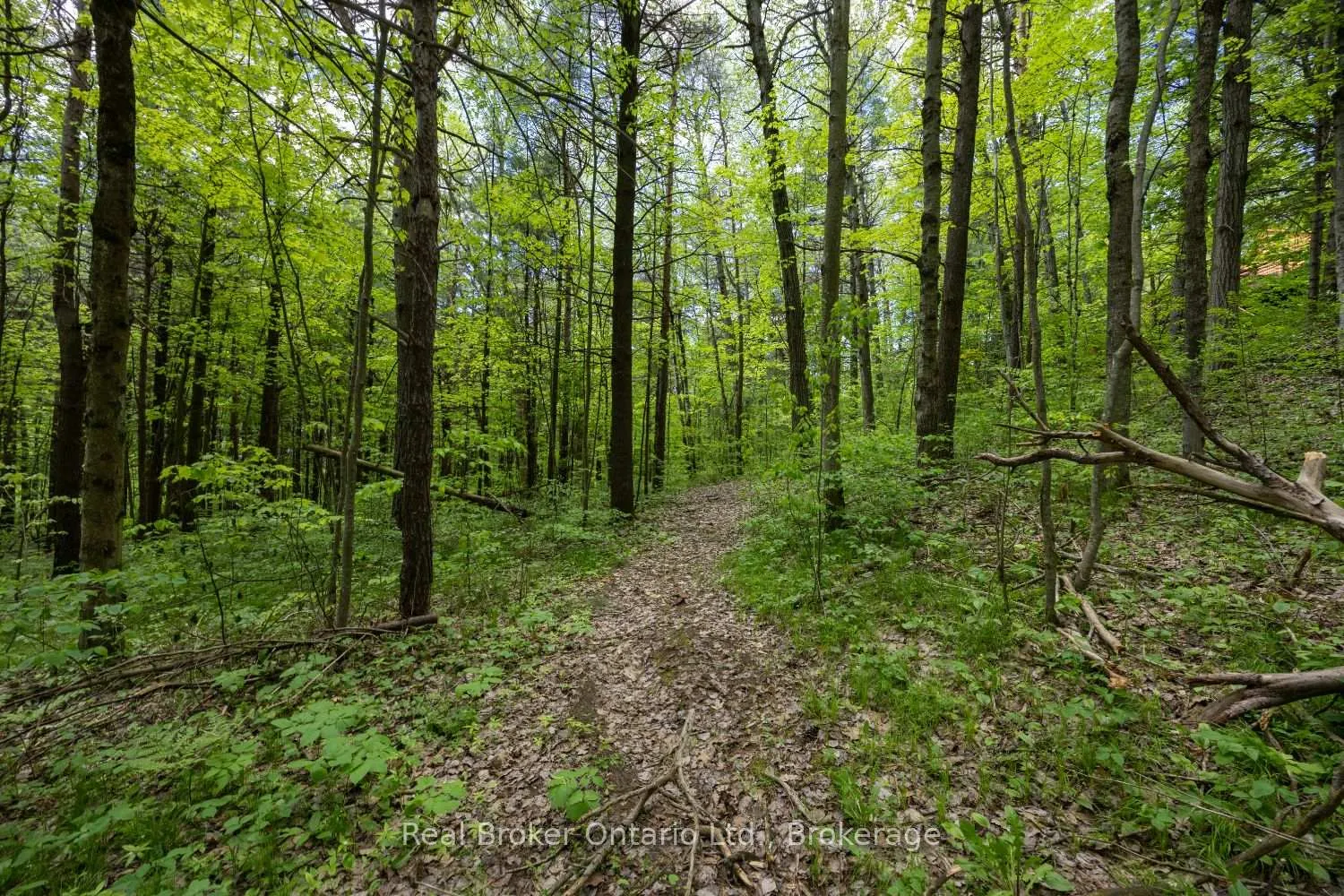 Photo 44 of 5 Sumac Road, Clarington, Rural Clarington — HOMEH