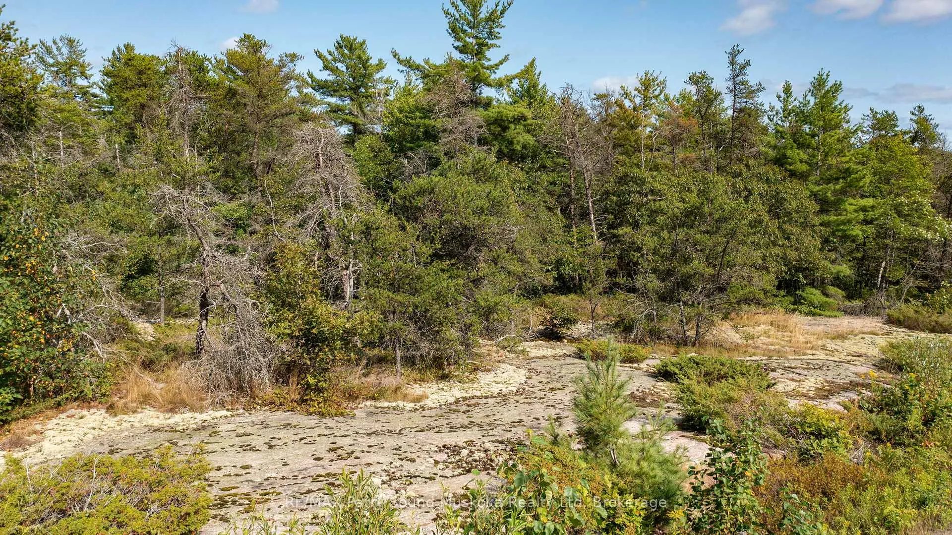 Photo 41 of 3 Corduroy Bay Road, Carling — HOMEH