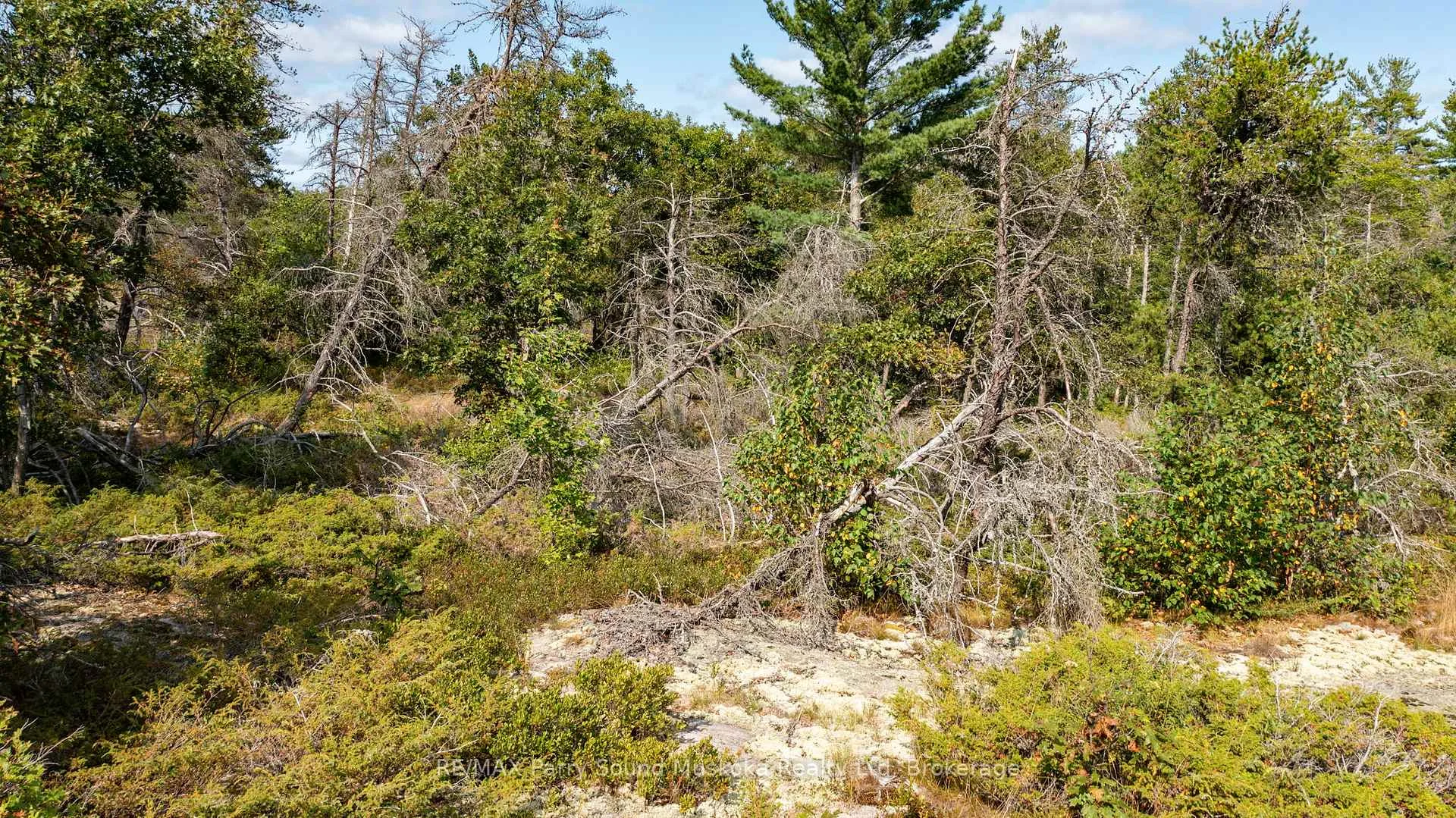 Photo 83 of 3 Corduroy Bay Road, Carling — HOMEH
