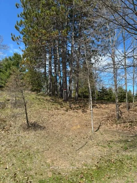 Photo 1 of 26686 Highway 62 S, Bancroft, Dungannon Ward — HOMEH
