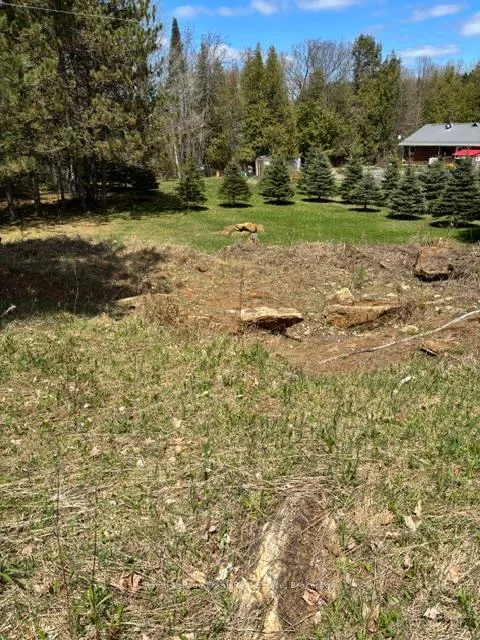 Photo 5 of 26686 Highway 62 S, Bancroft, Dungannon Ward — HOMEH