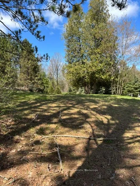 Photo 7 of 26686 Highway 62 S, Bancroft, Dungannon Ward — HOMEH