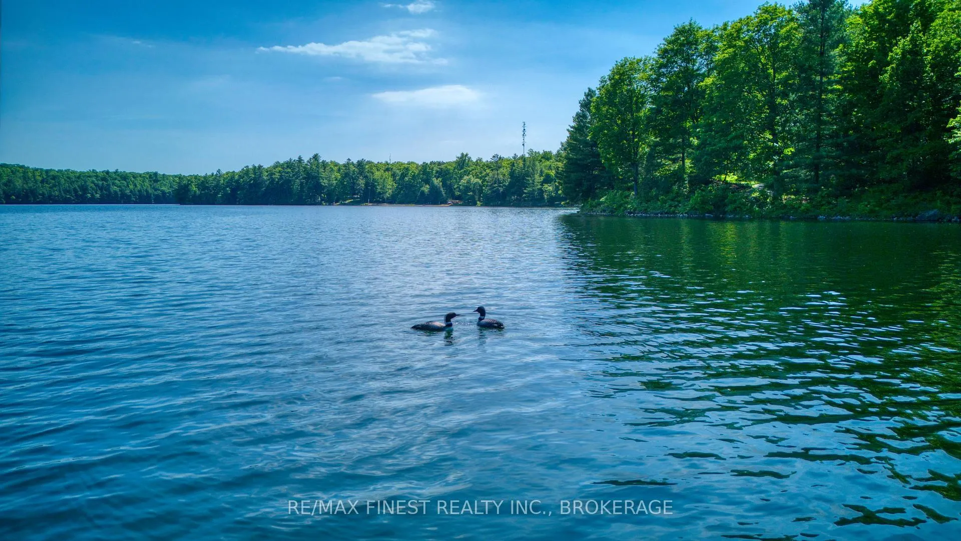 Photo 48 of 1029 Oak Lane North, Frontenac, Frontenac Centre — HOMEH