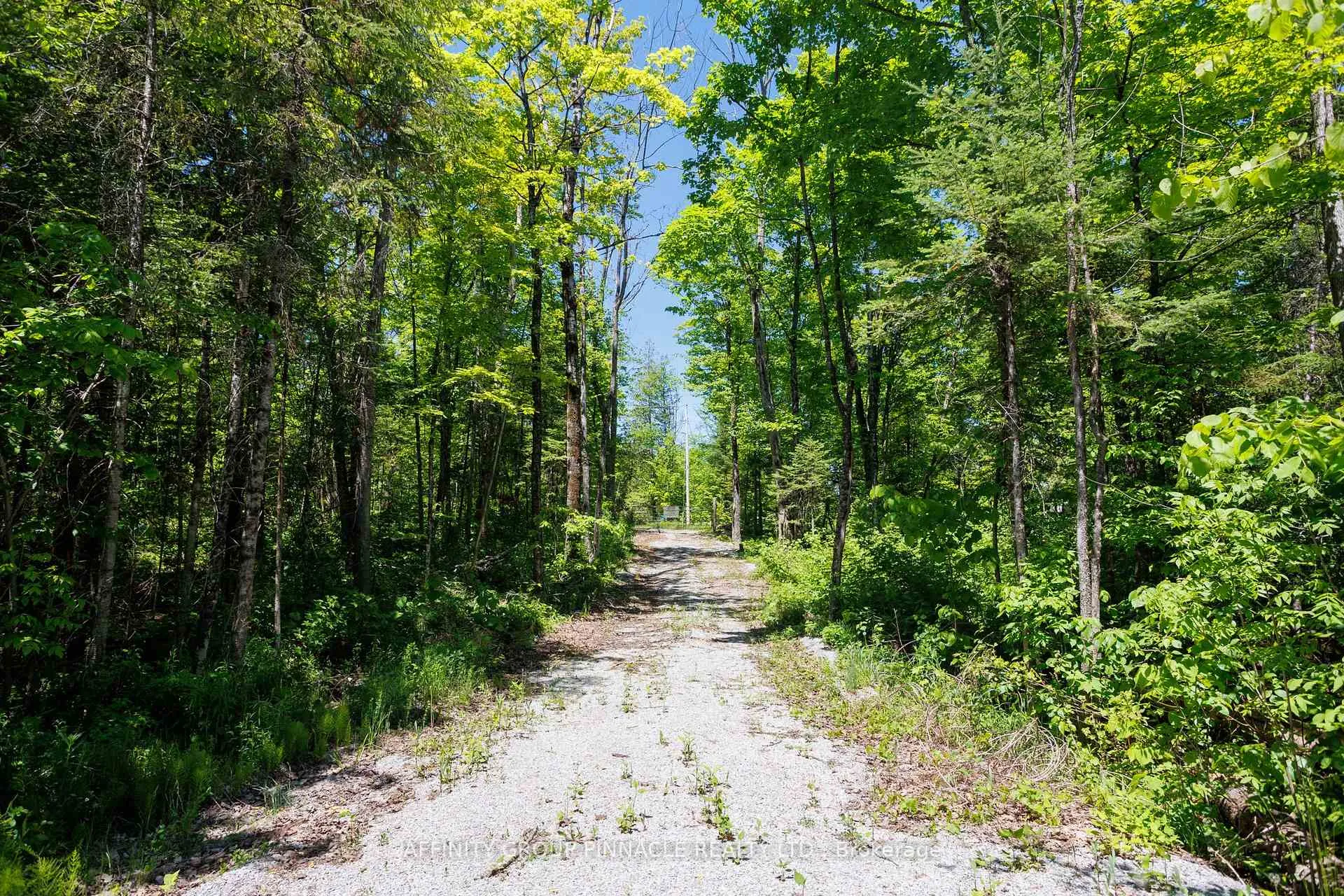 Photo 35 of Pearce Road, Kawartha Lakes, Bexley — HOMEH