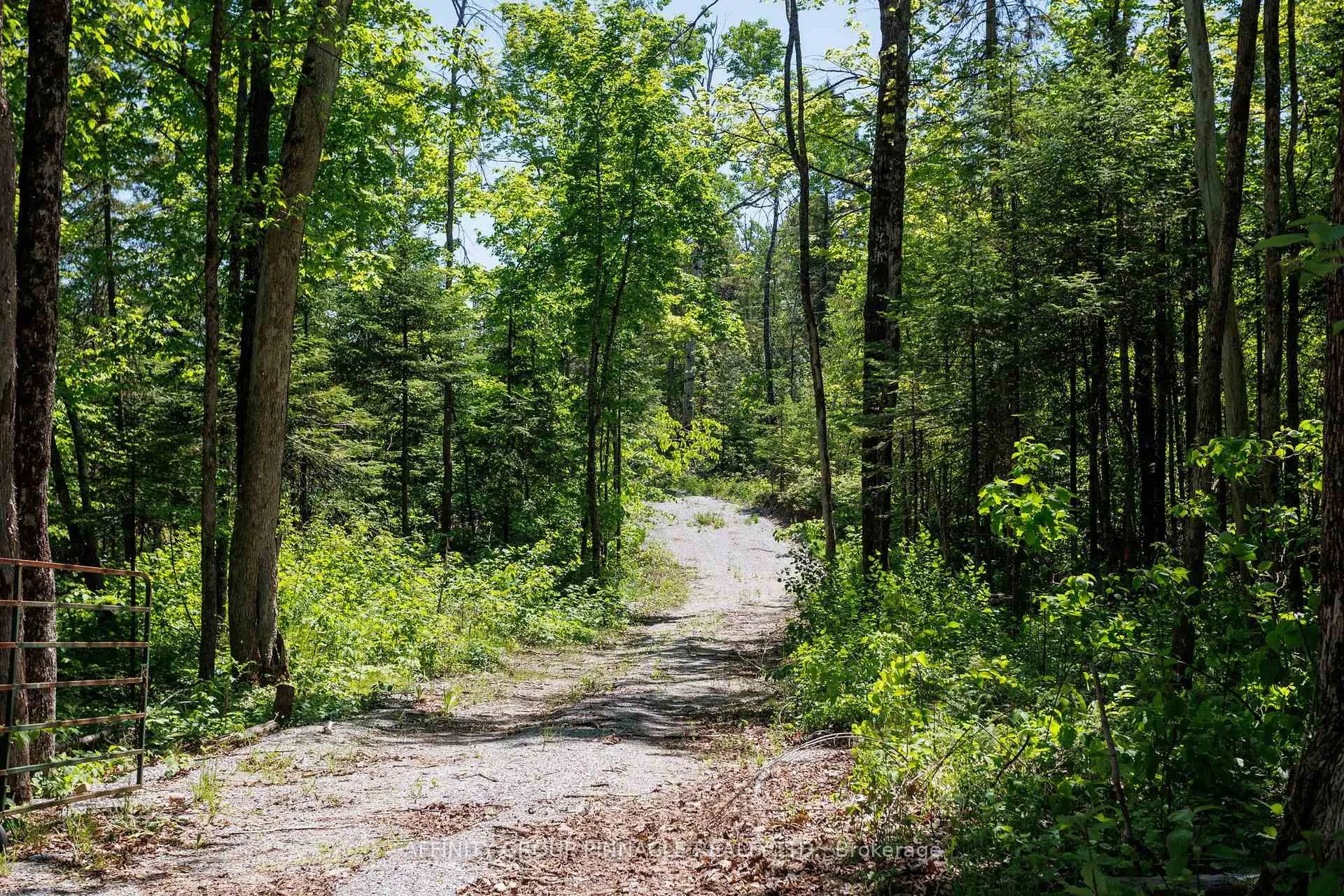 Photo 36 of Pearce Road, Kawartha Lakes, Bexley — HOMEH
