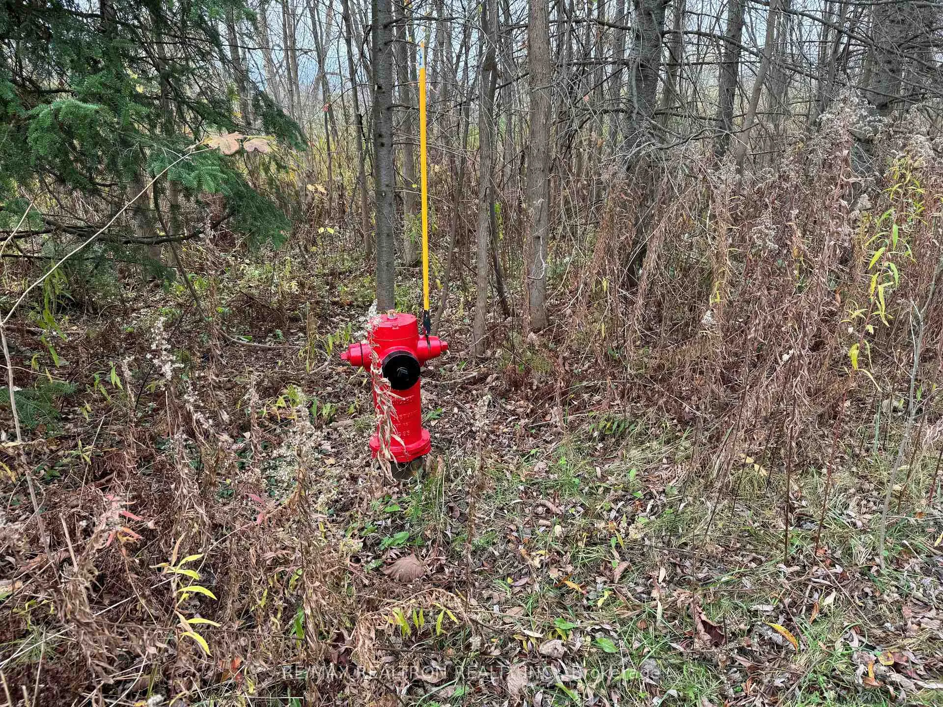 Photo of 0 Taylorwoods Boulevard