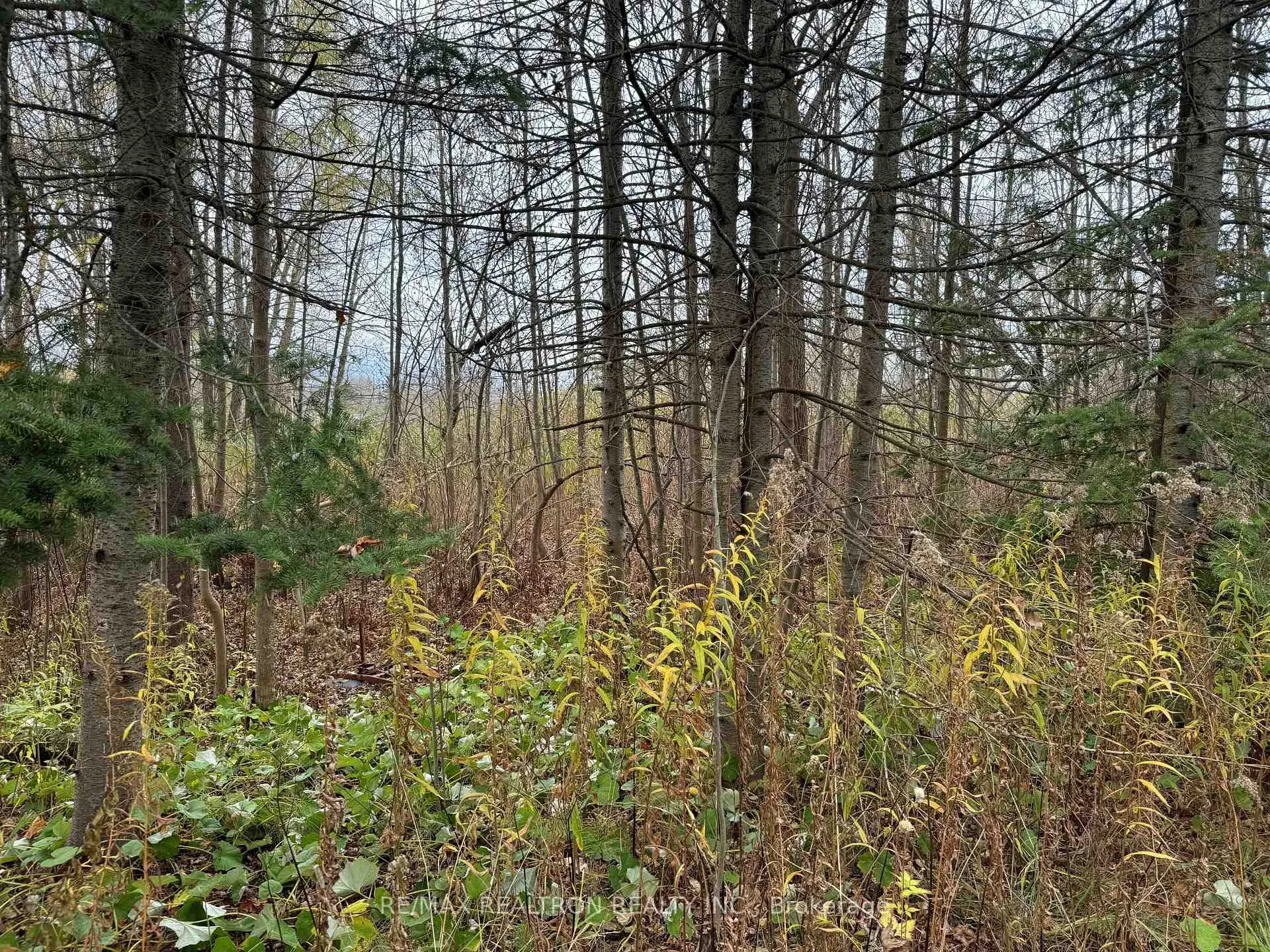 Photo 2 of Taylorwoods Boulevard, Innisfil, Alcona — HOMEH