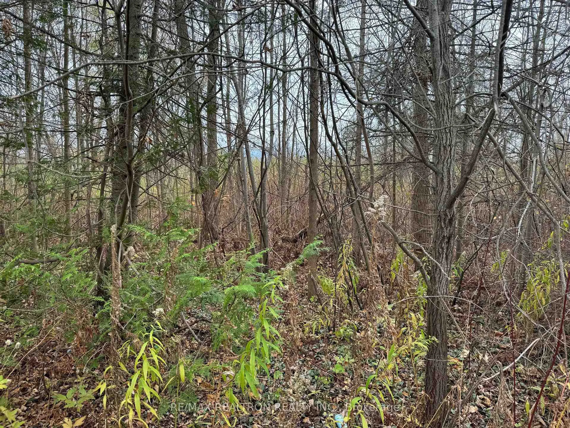 Photo 3 of Taylorwoods Boulevard, Innisfil, Alcona — HOMEH