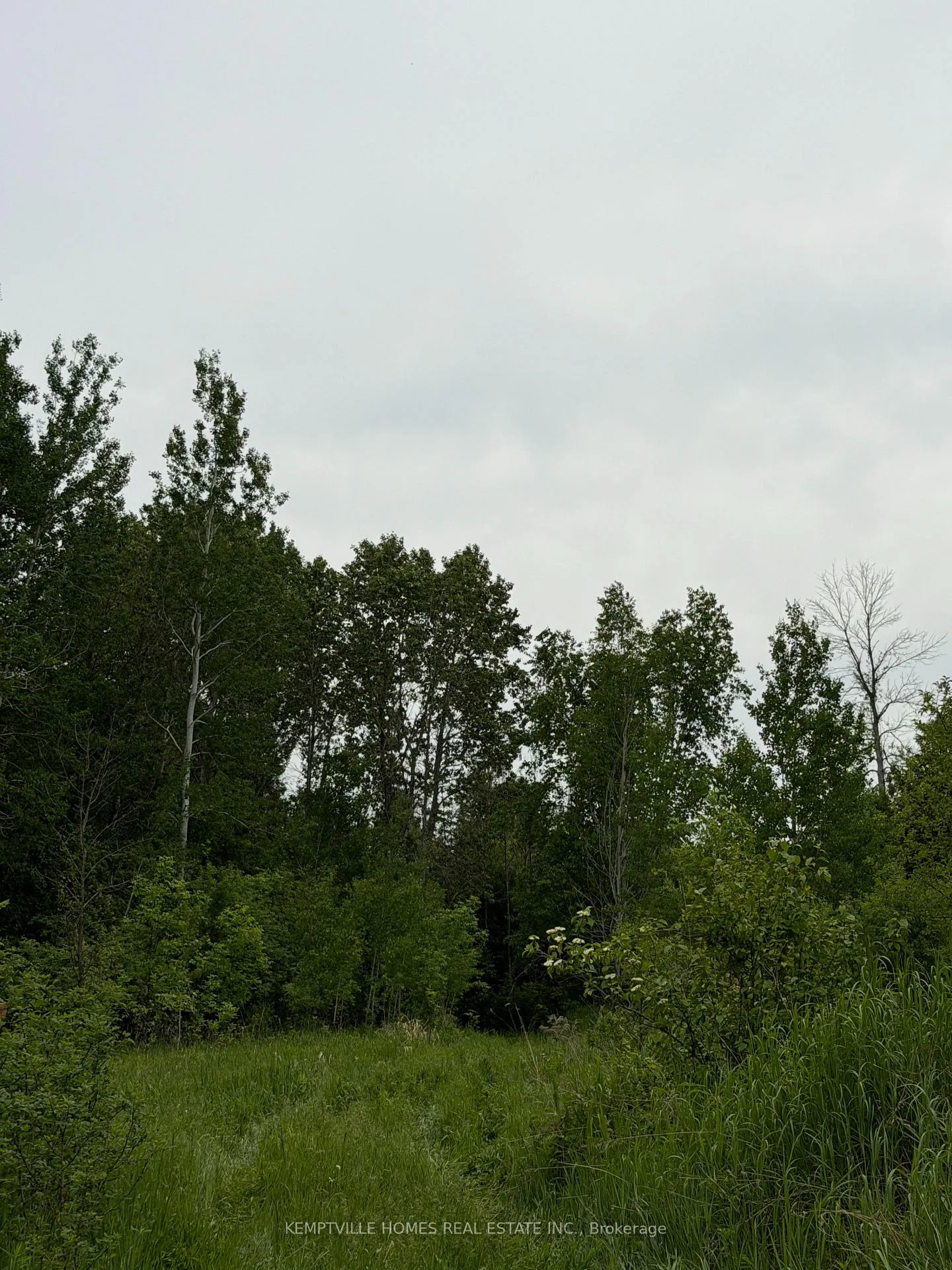 Photo 5 of 00 Richardson Road, Montague, Montague Twp — HOMEH