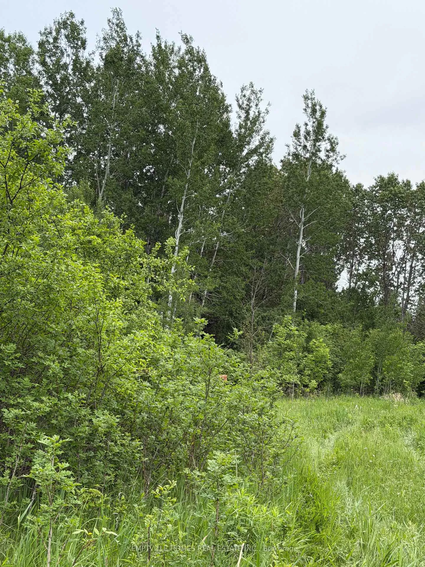 Photo 6 of 00 Richardson Road, Montague, Montague Twp — HOMEH