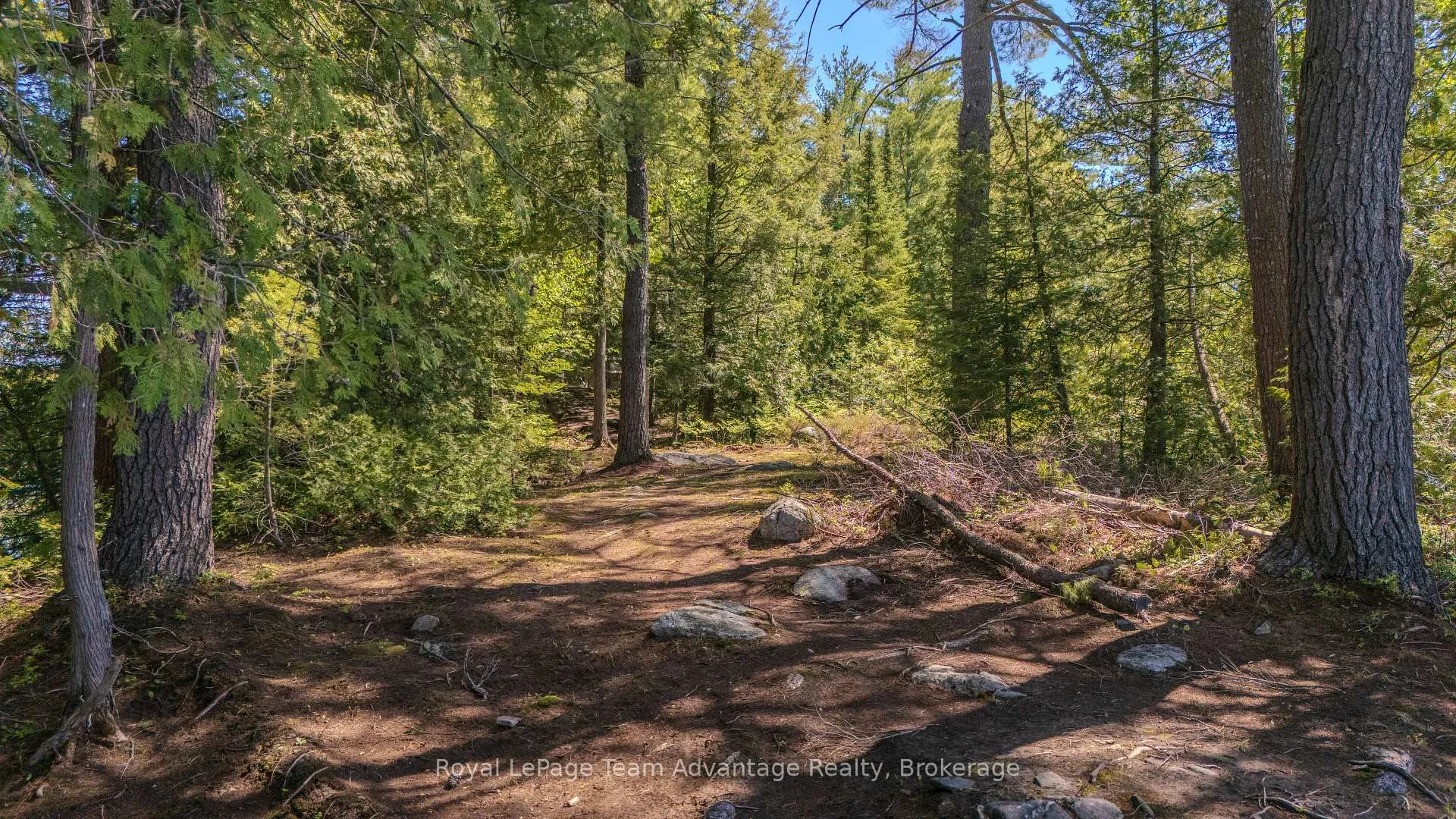 Photo 48 of 420 Shawanaga Lake, Whitestone, Hagerman — HOMEH