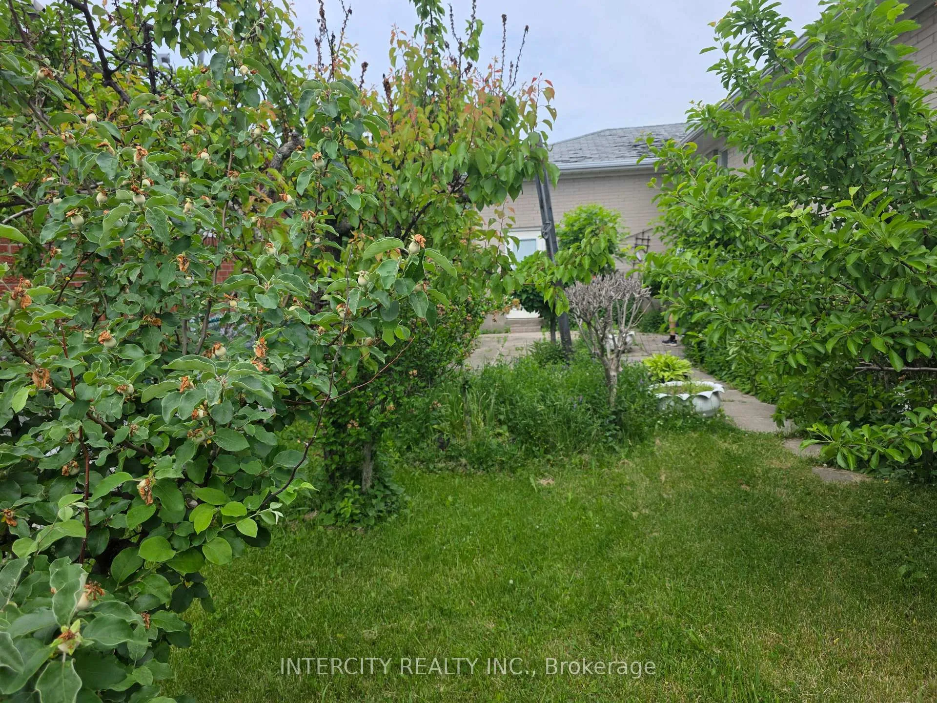 Photo 22 of 7030 Darcel Avenue, Mississauga, Malton — HOMEH