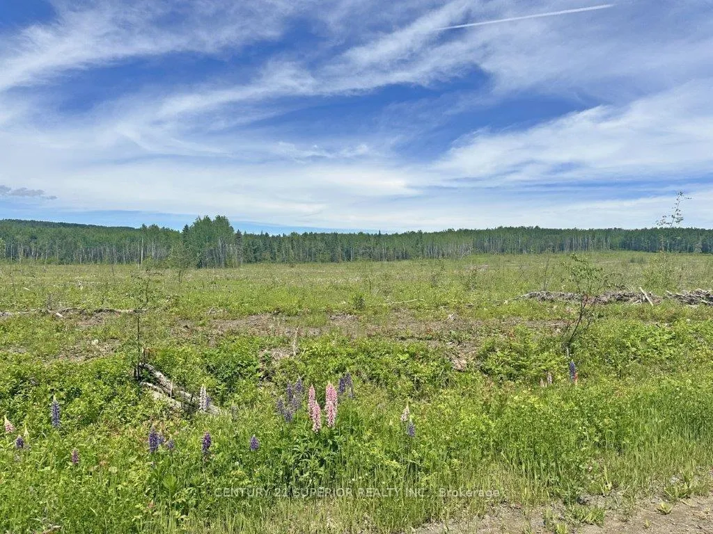 Photo 15 of Part 3 Larson Road, Neebing, Crooks — HOMEH