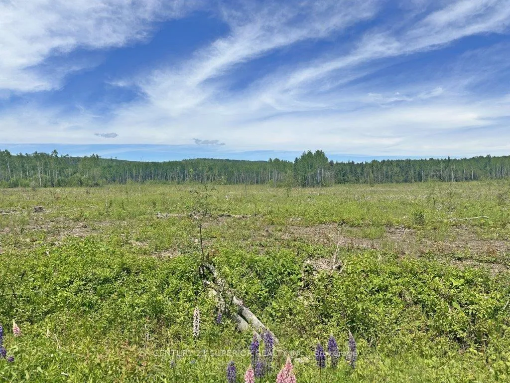 Photo 18 of Part 3 Larson Road, Neebing, Crooks — HOMEH