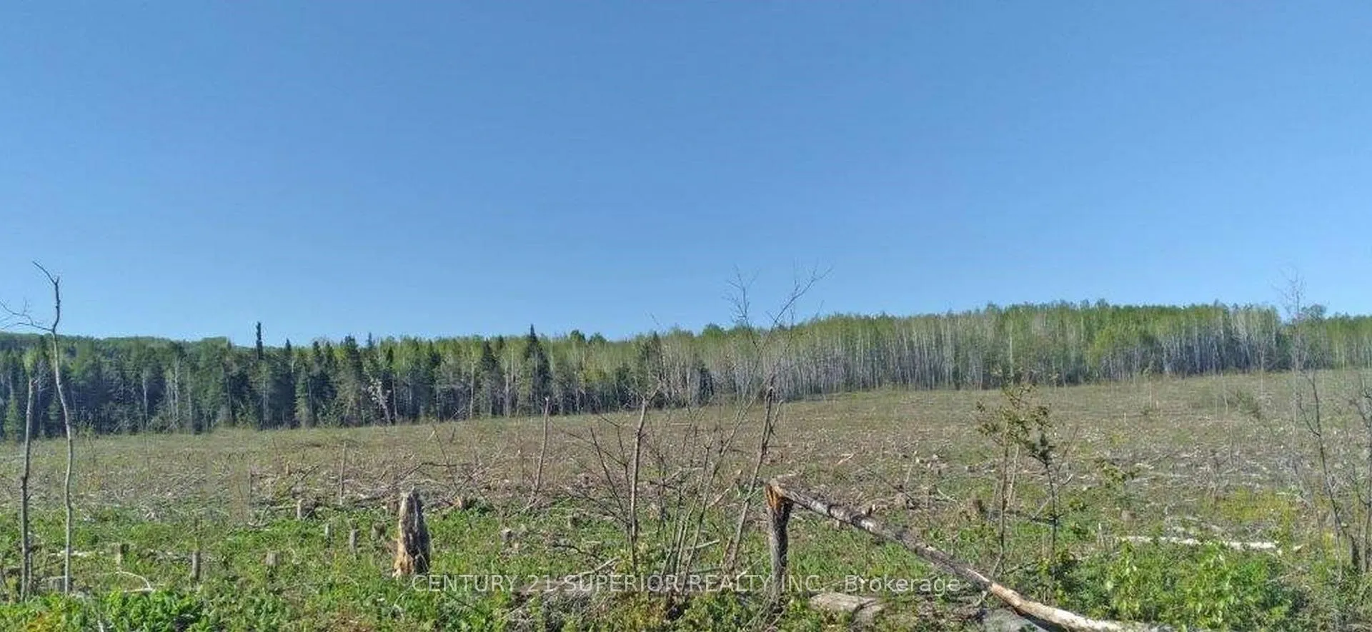 Photo 19 of Part 3 Larson Road, Neebing, Crooks — HOMEH