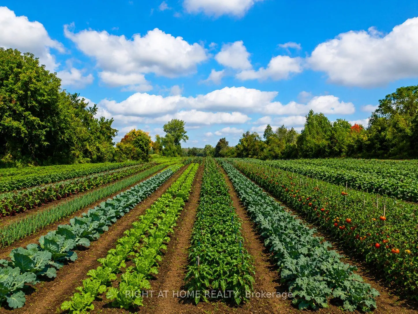 Photo 18 of 1705 2nd Concession Road W, Hamilton, Rural Flamborough — HOMEH