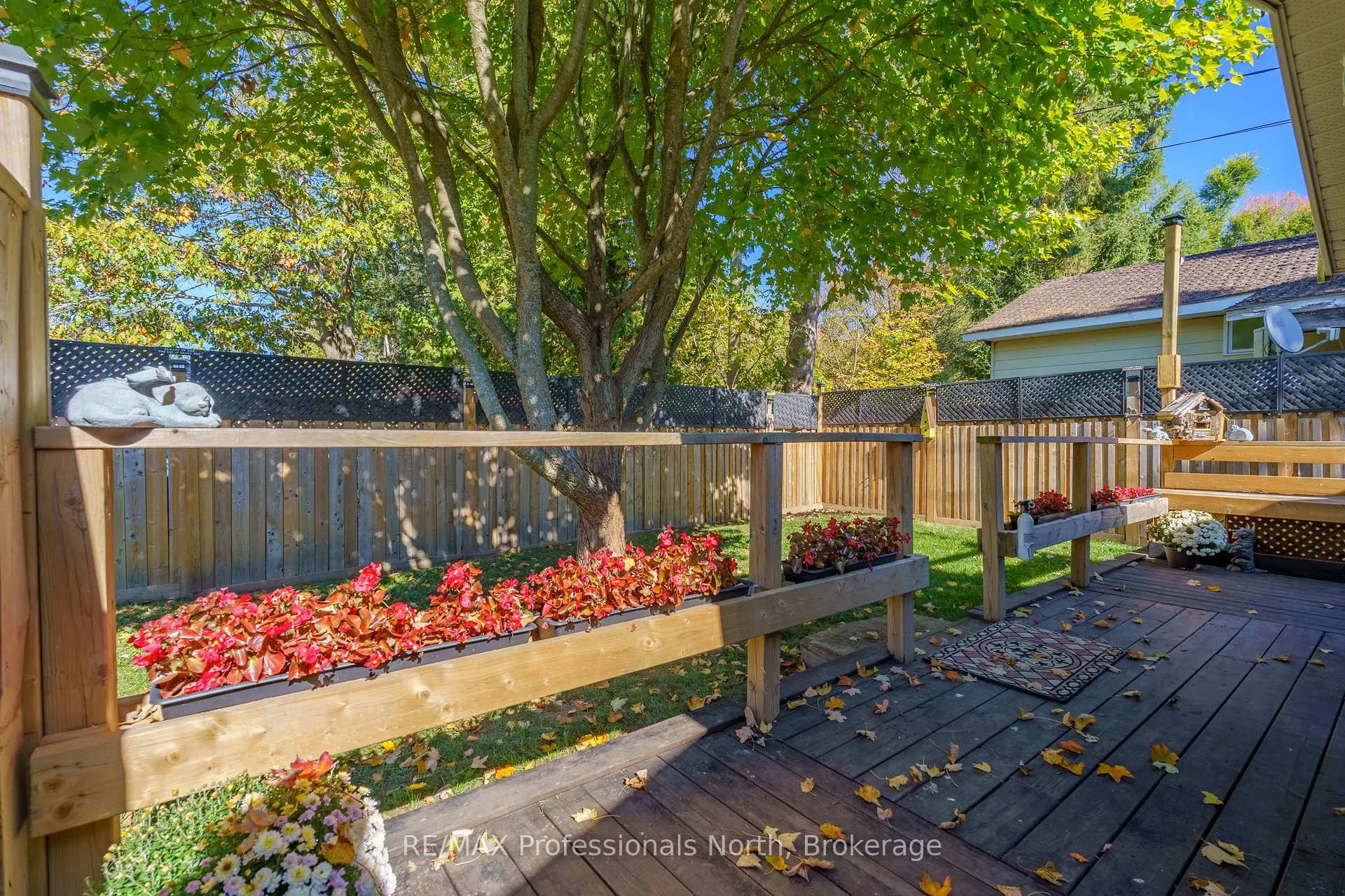 Photo 40 of 161 Quebec Street, Bracebridge, Macaulay — HOMEH