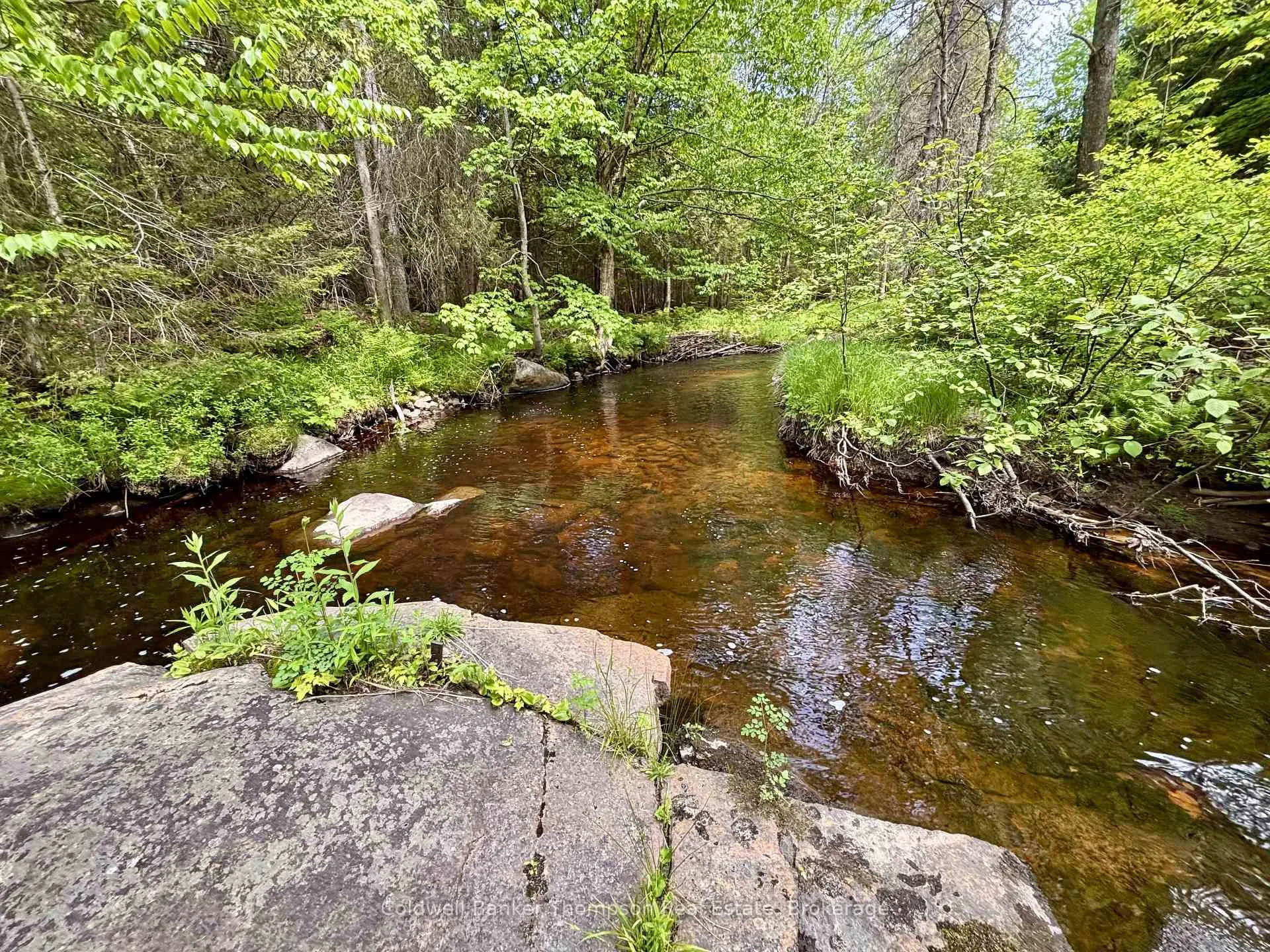Photo 7 of 63 Forestry Road, Powassan, Trout Creek — HOMEH