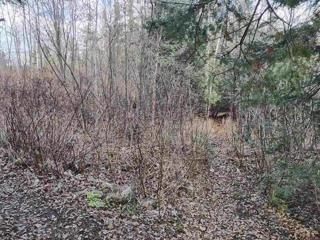 Photo 3 of 1290 Piccard Avenue, Thunder Bay, John Street South — HOMEH