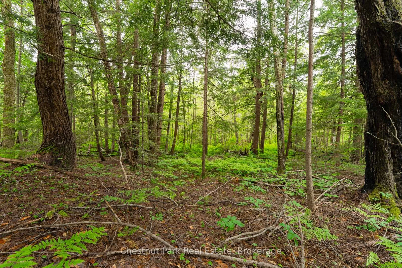 Photo 2 of 1066 Uffington Road, Bracebridge, Draper — HOMEH
